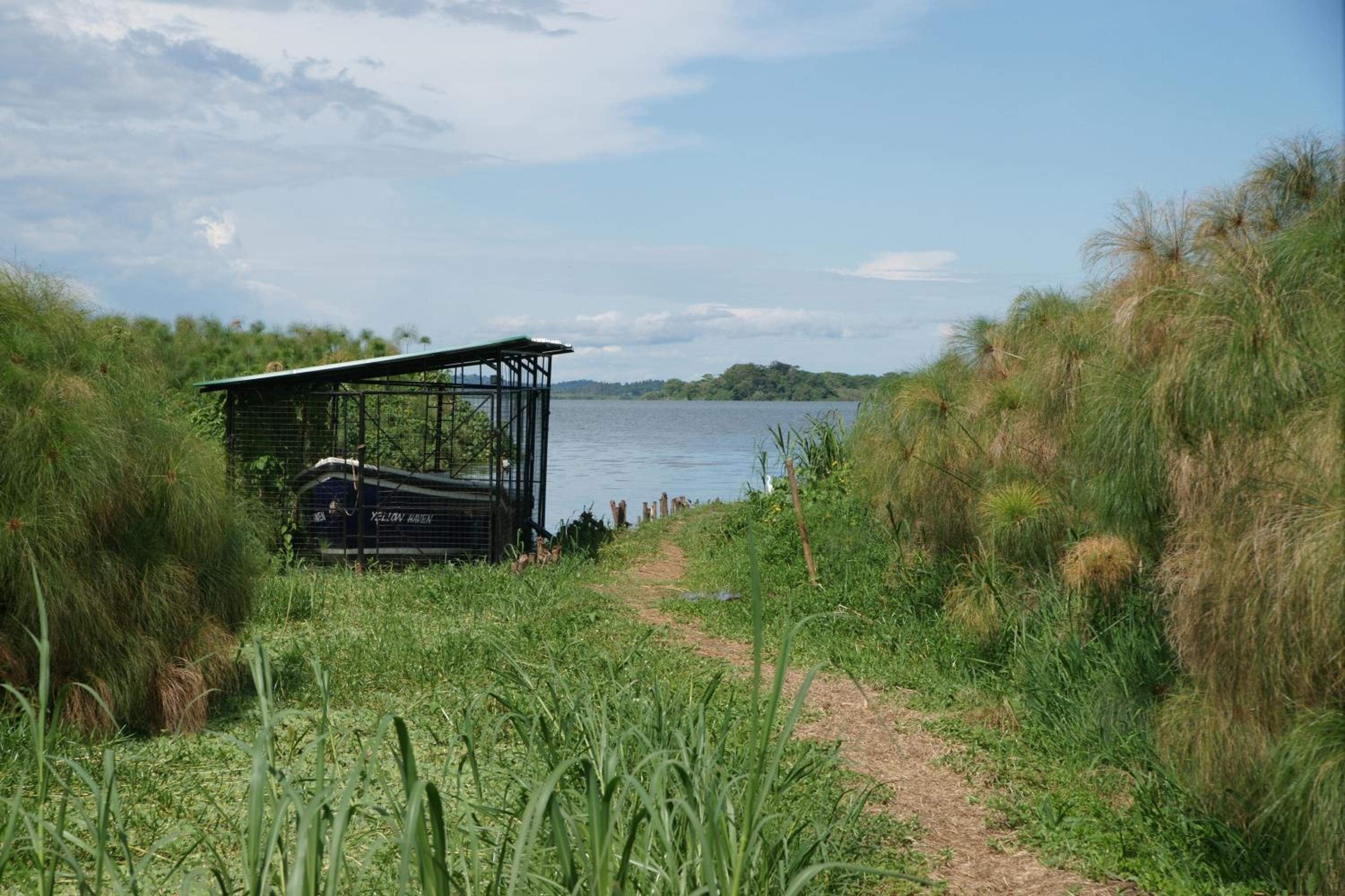 Yellow Haven Lodge