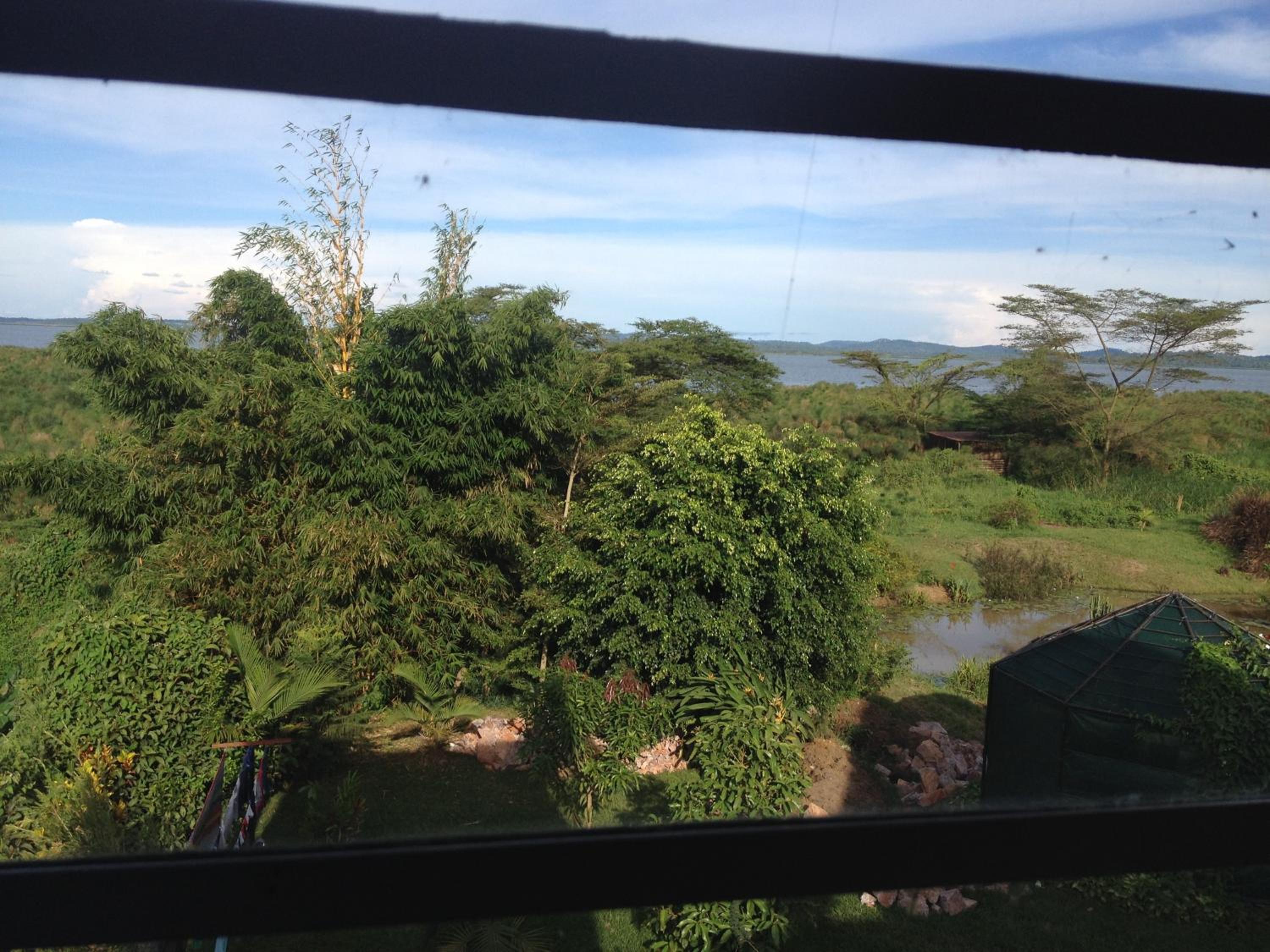 Yellow Haven Lodge