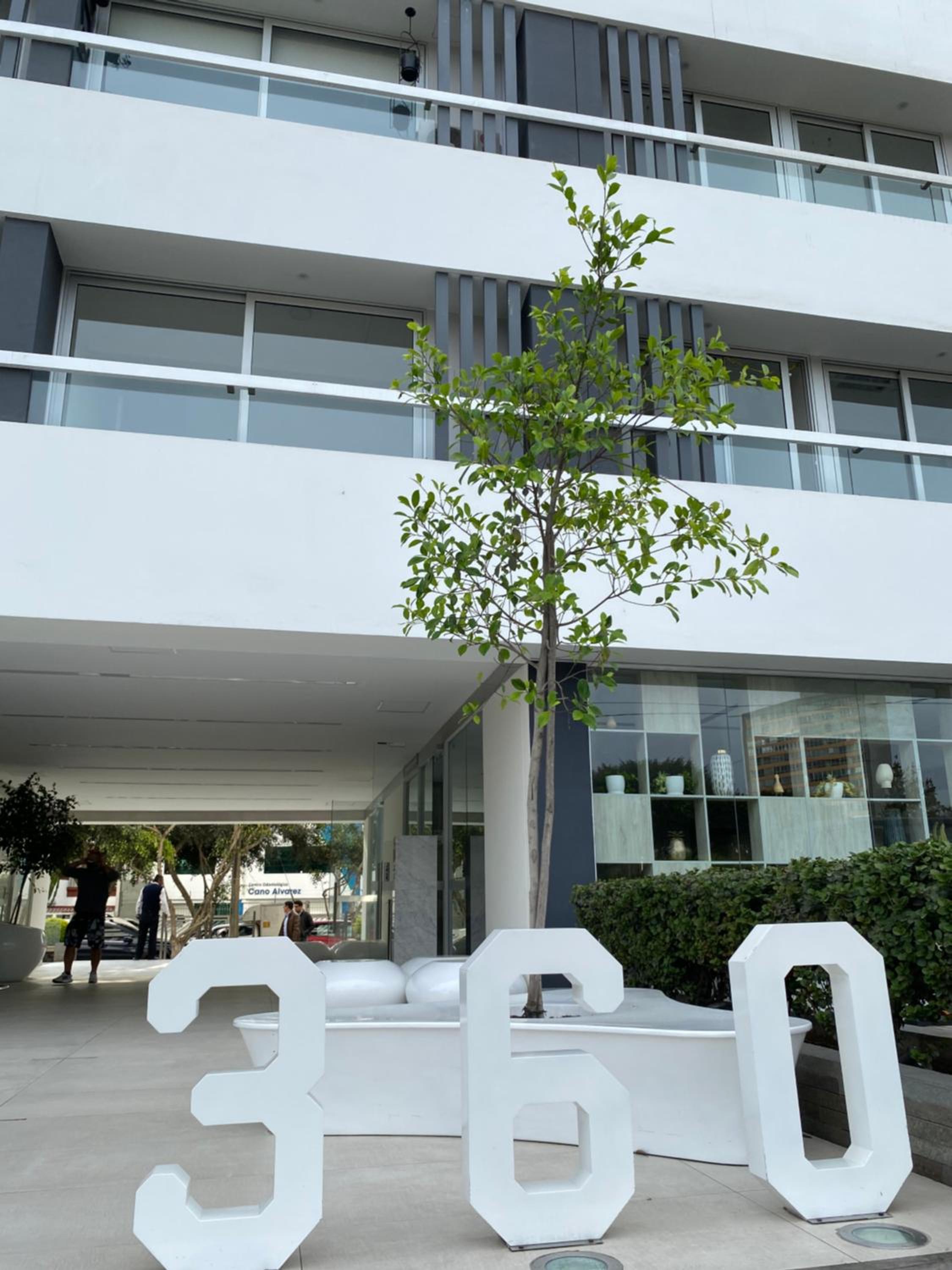 Photo 6