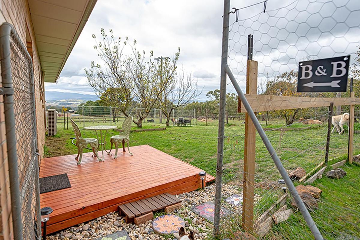 Hotel Galahad's Animal Sanctuary B&B