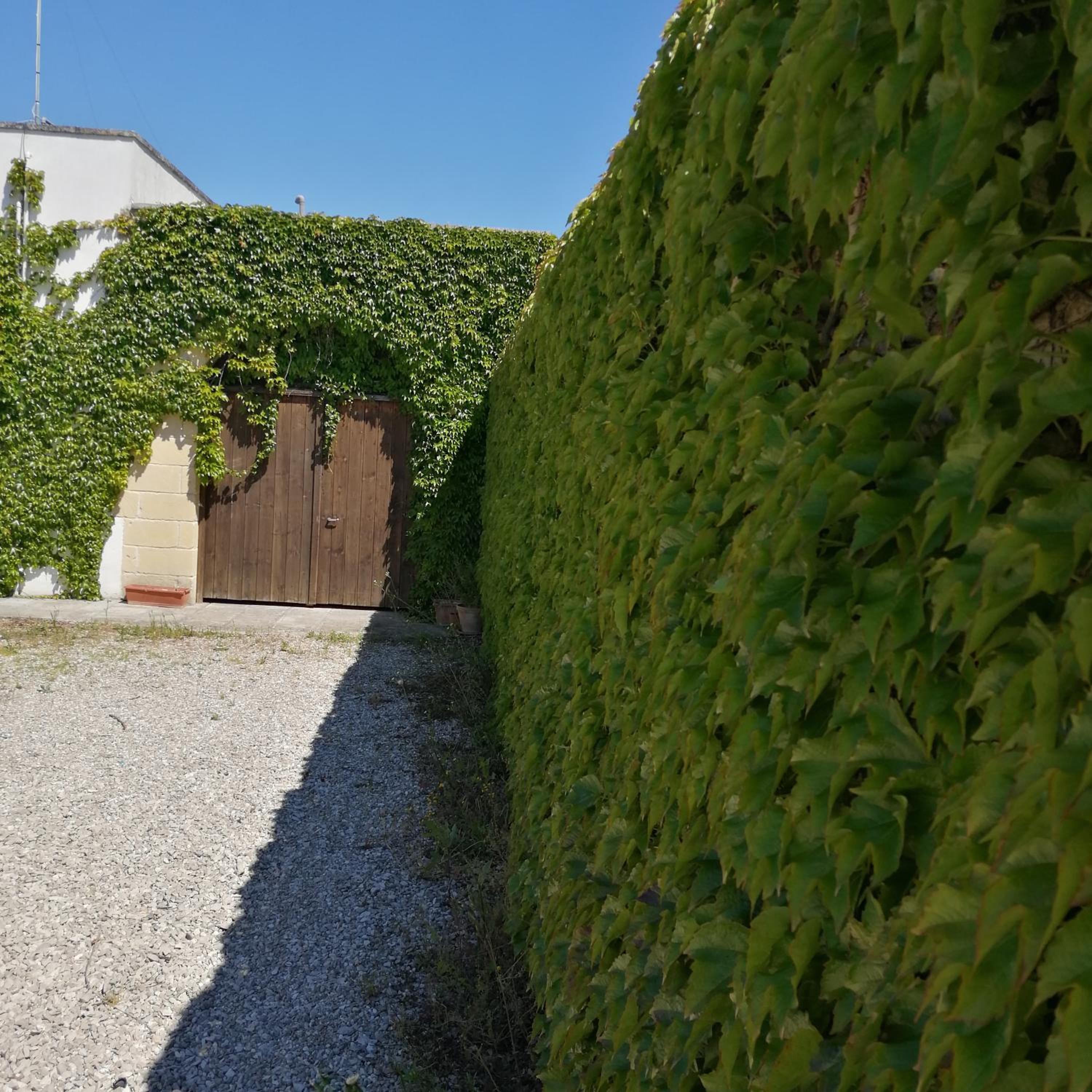 B&B VillaSalento LE
