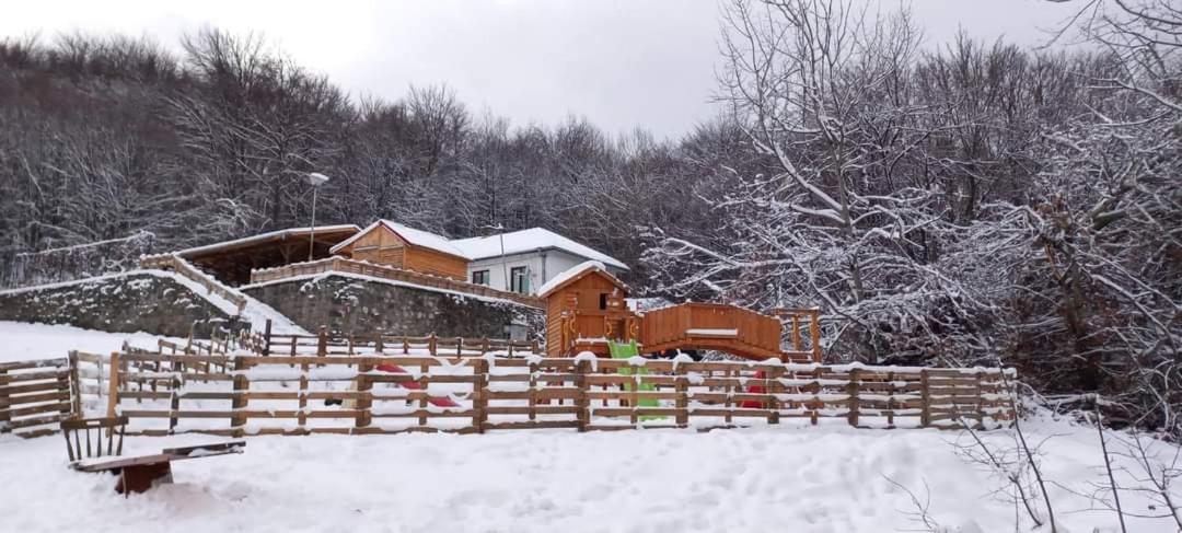 Bonsovi Poliani Hut view 2