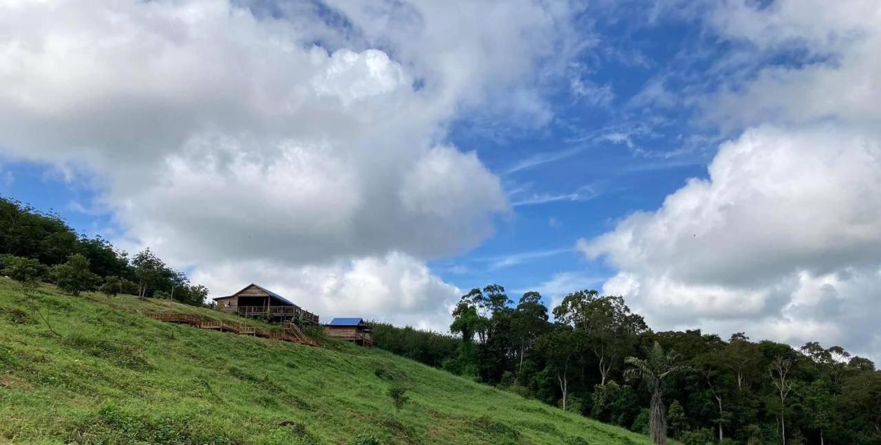 Natural House Farm Stay view 5