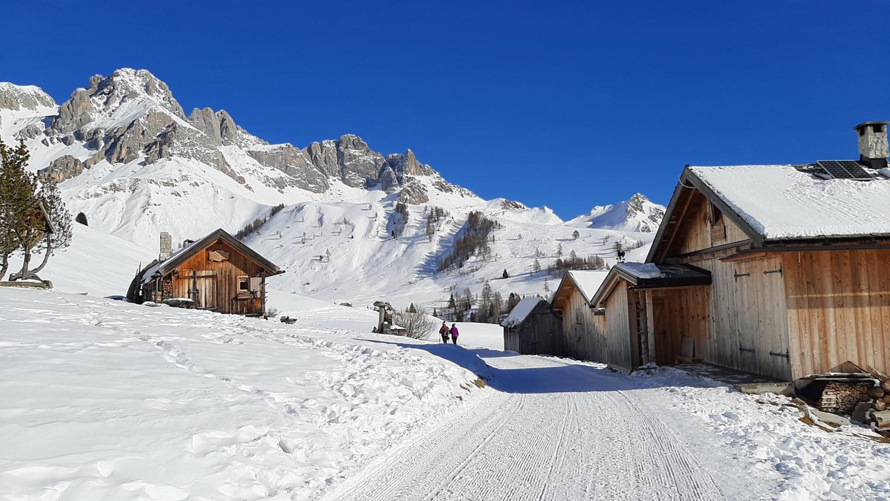 B&BeautyFol Dolomites B&B adults only view 4