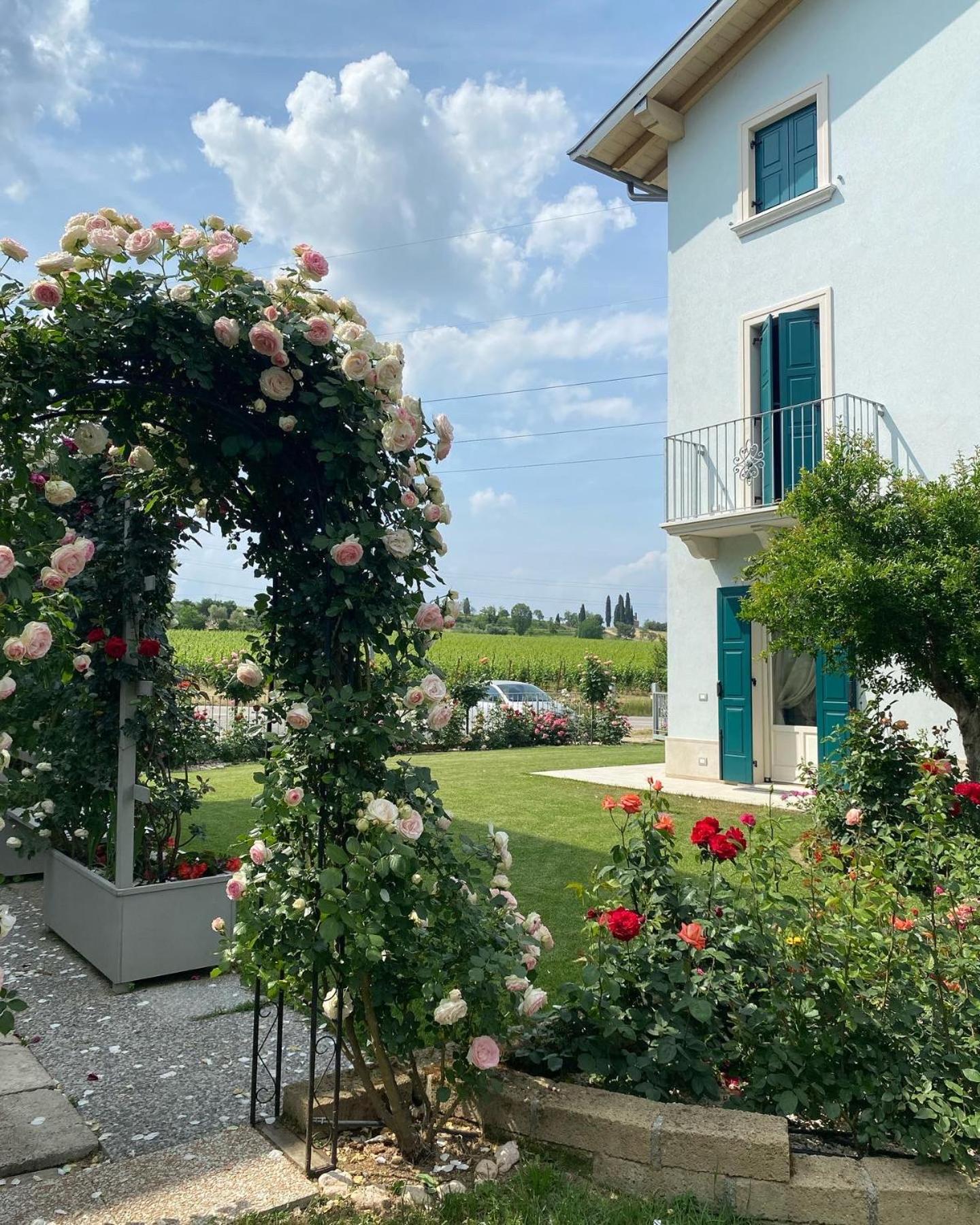 ROSETO HOLIDAYS AZZURRO