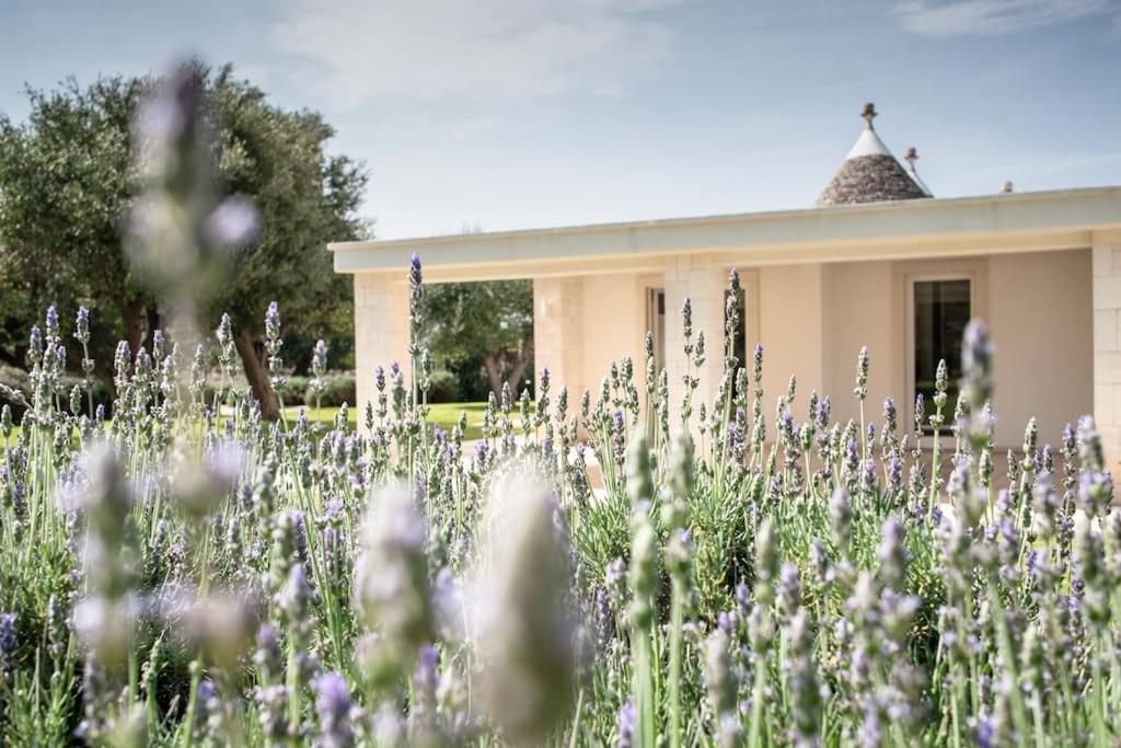 Villa Dodo