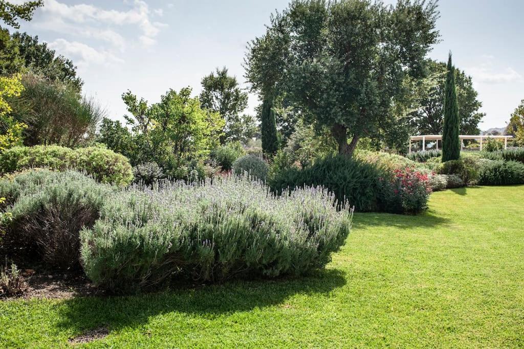 Villa Dodo
