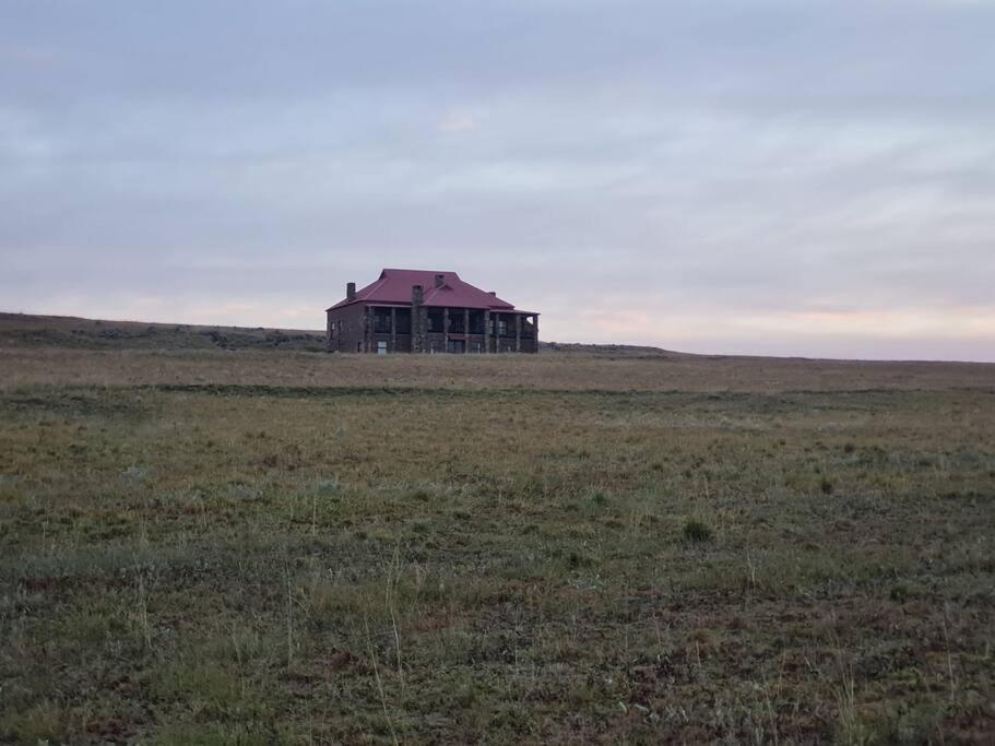 Photo 19