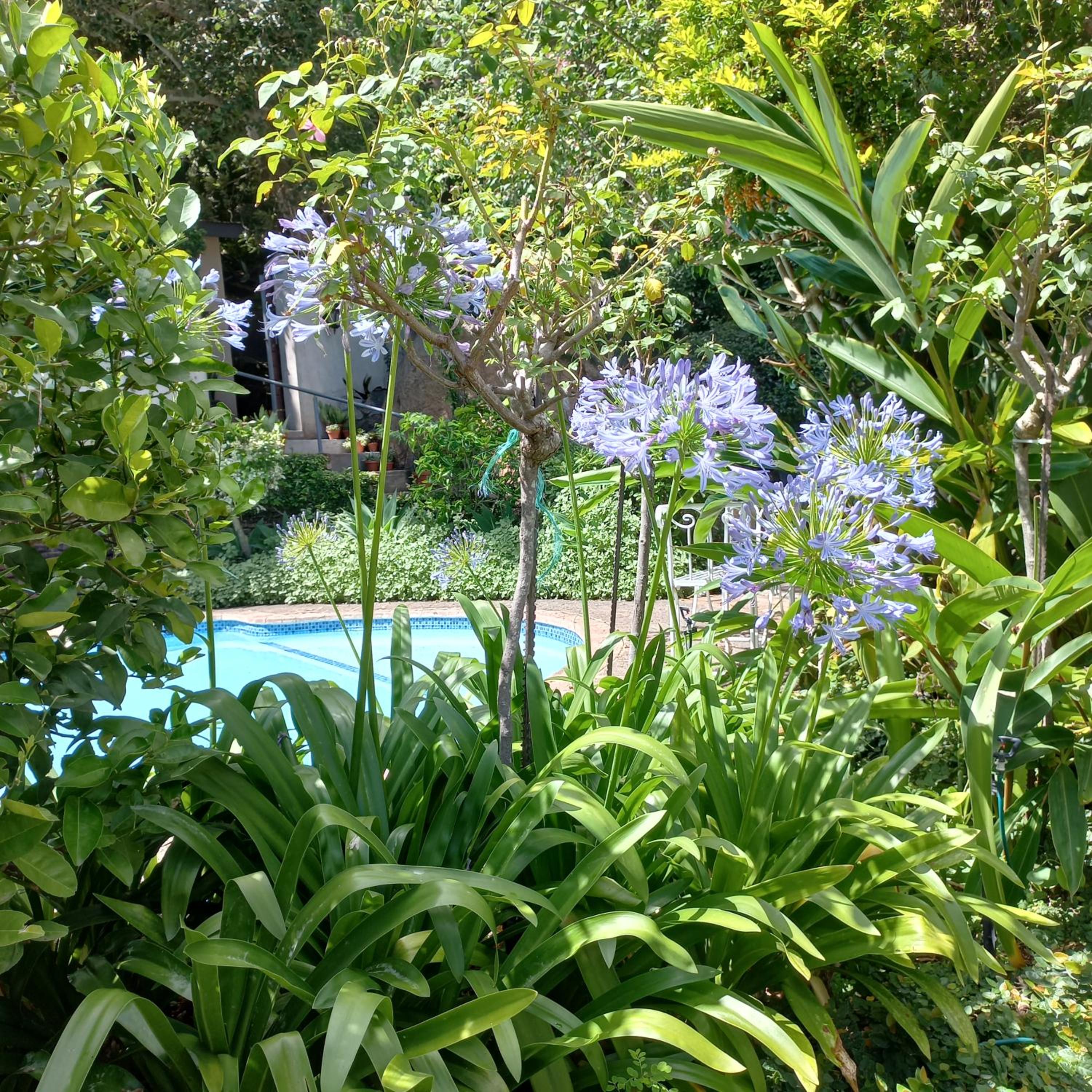 Photo 47