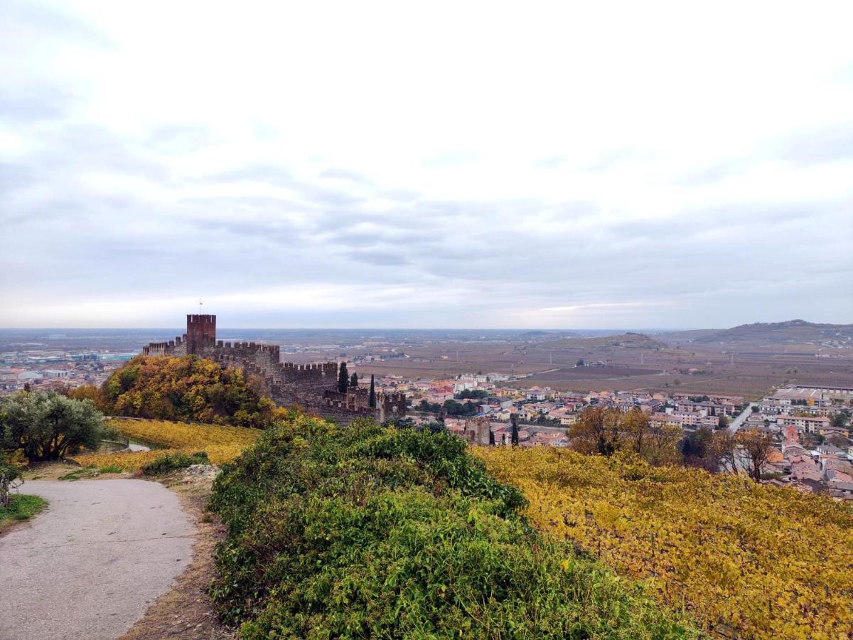 Stanza Allegra Soave