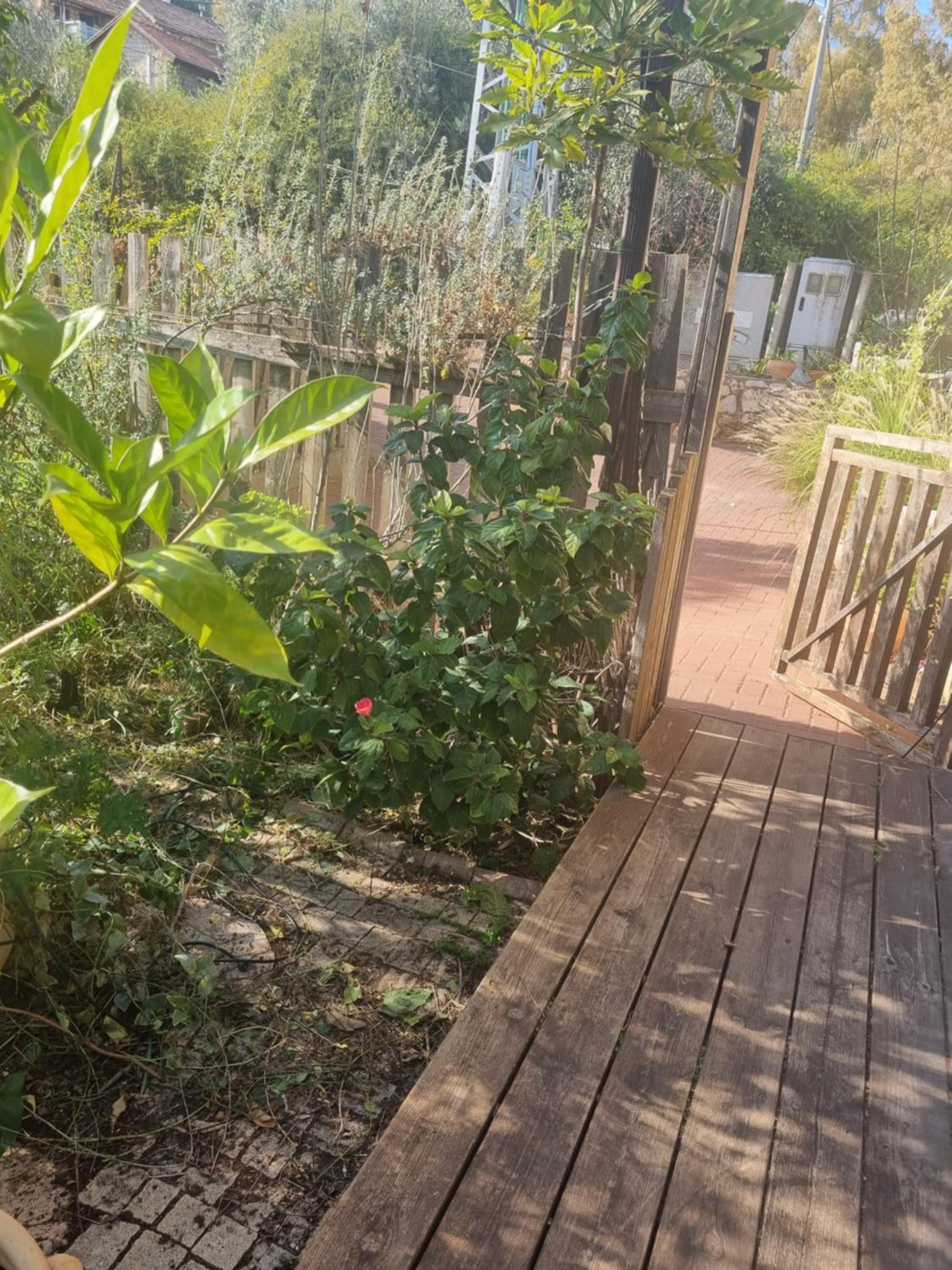 Photo 15
