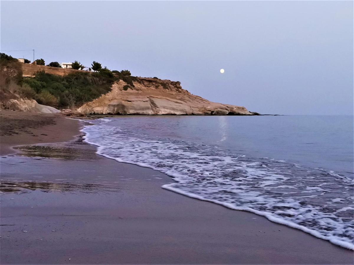 Apartments with garden view1 photo 5