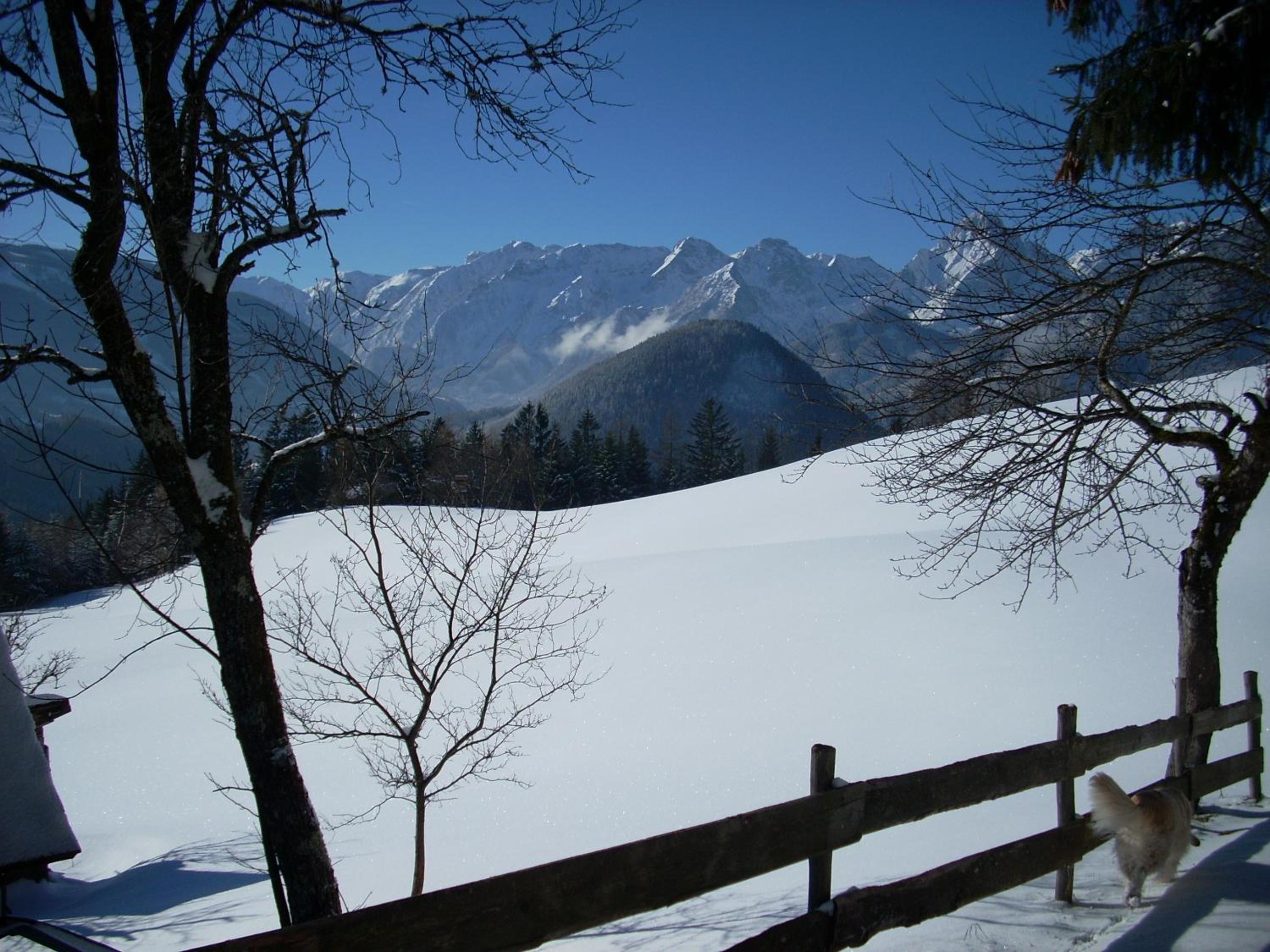 Photo 51