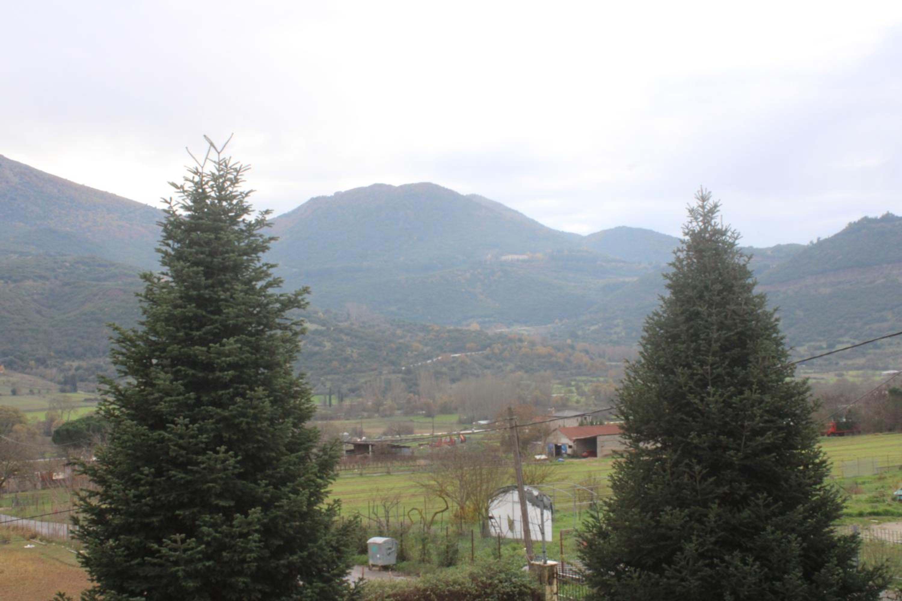 Photo 52