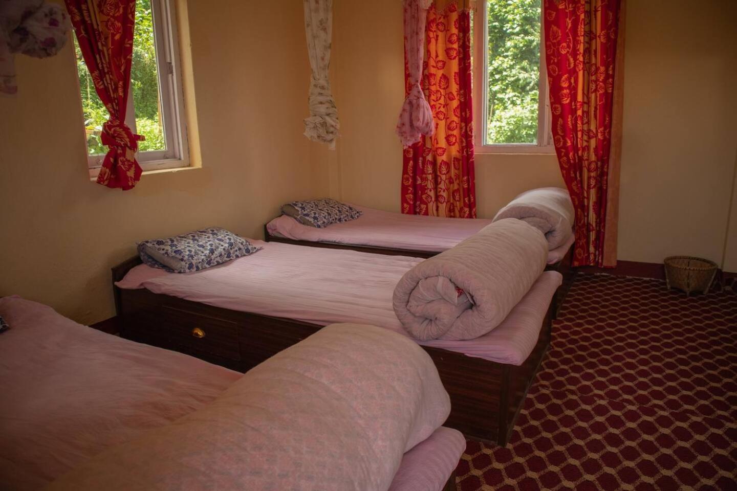 Hasera Organic Farmstay: Farm to Table & Mountain View view 2