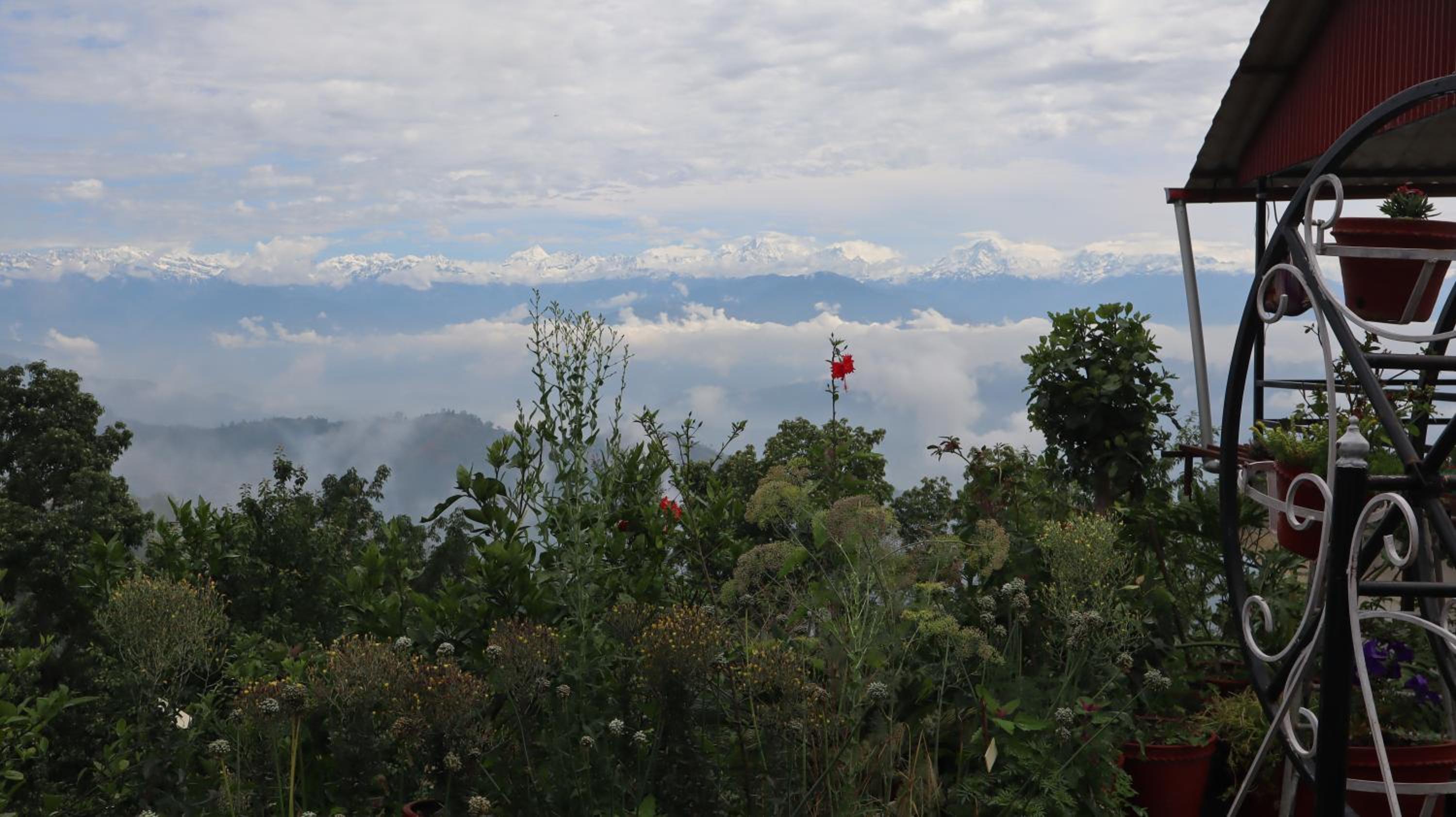 Hasera Organic Farmstay: Farm to Table & Mountain View view 5