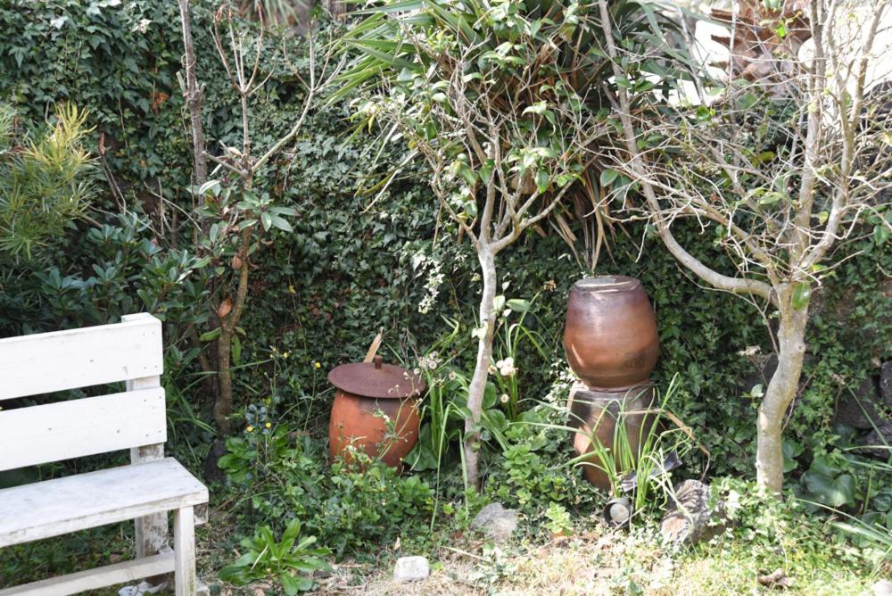 Jeju Vacations - Mareka Pension - Property Image 10