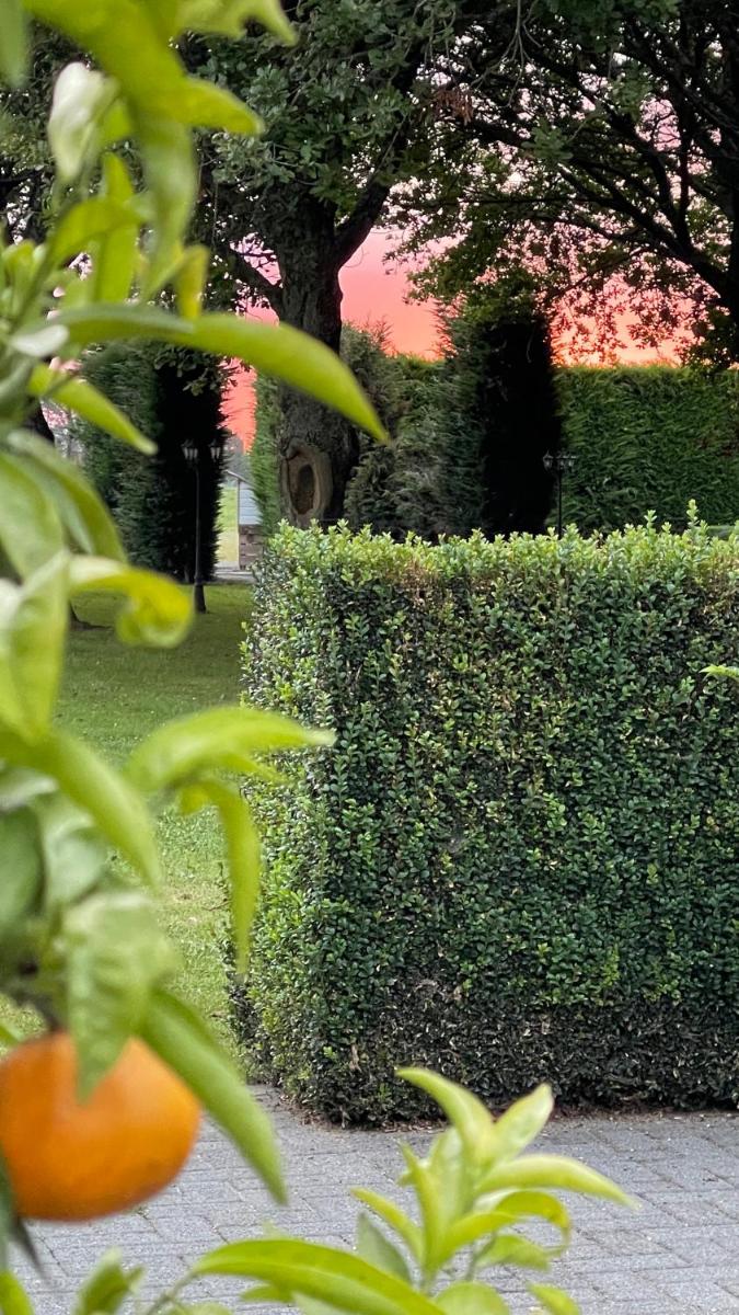 Fantail Garden