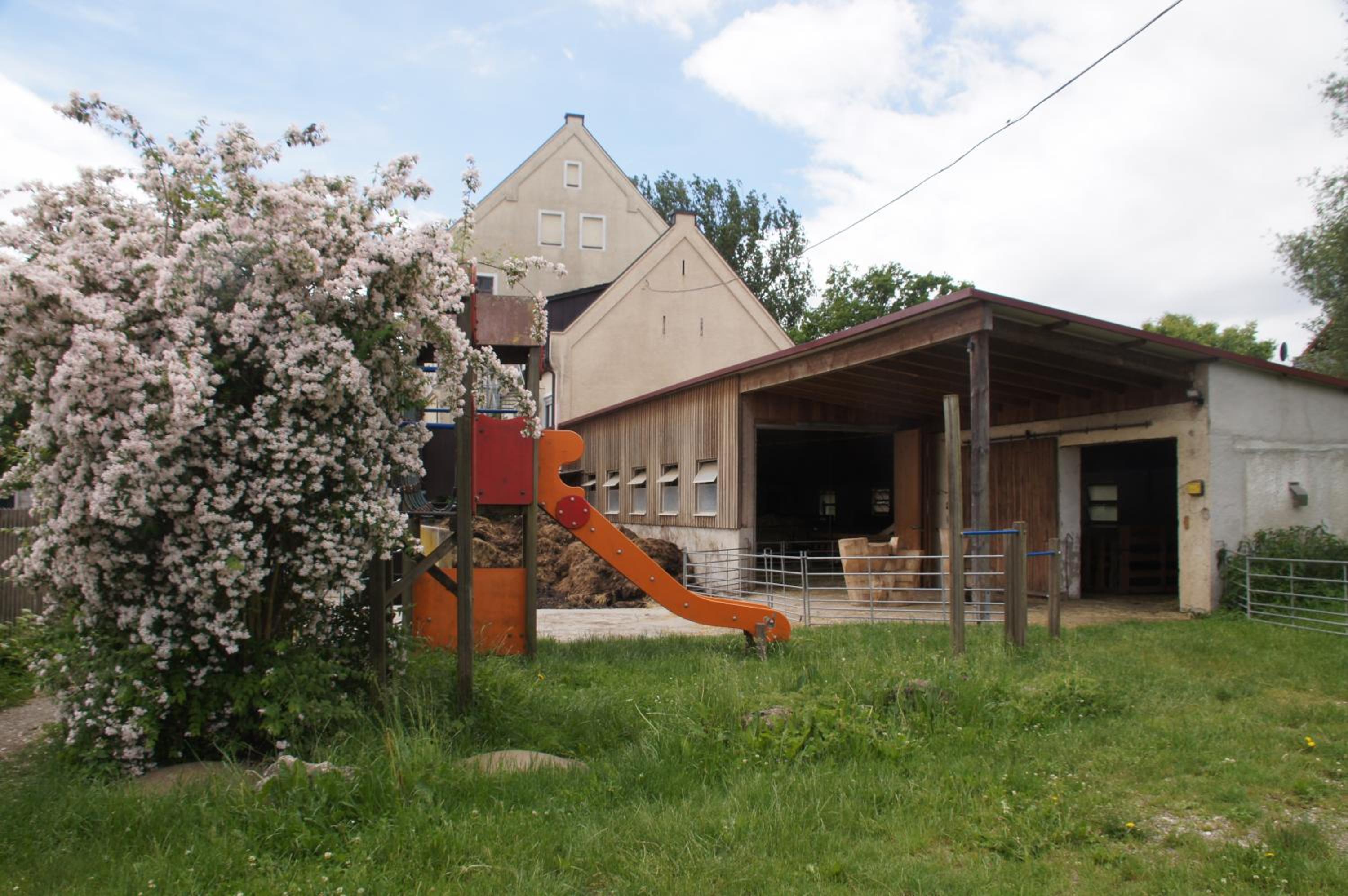 Photo 29