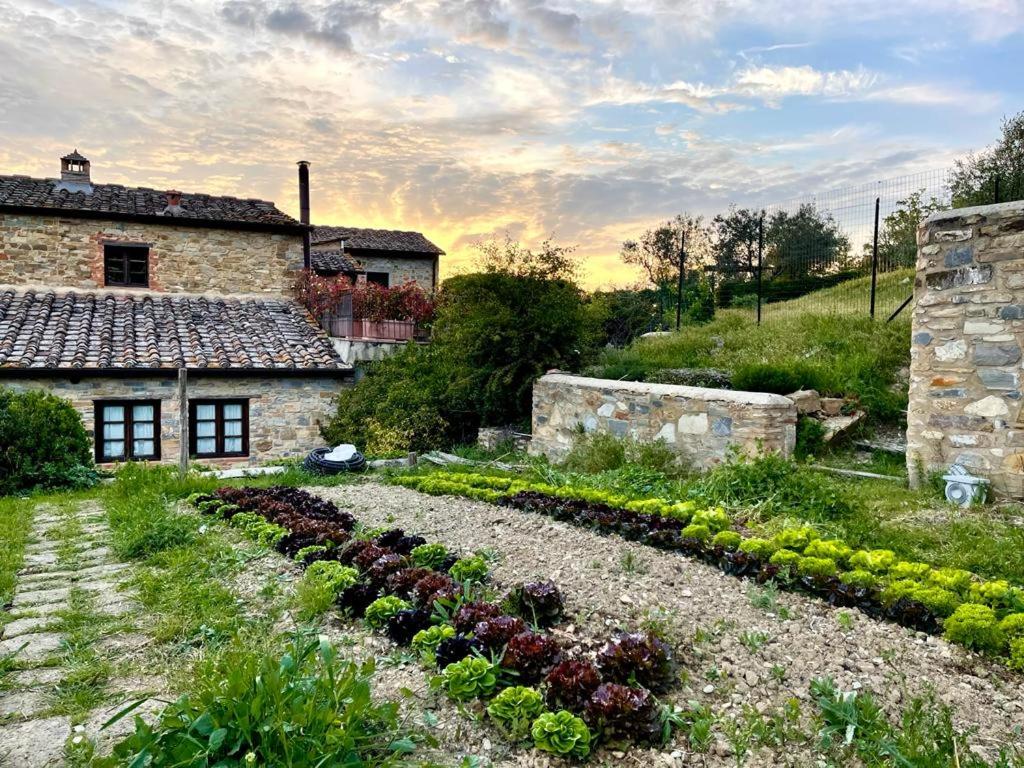 Fattoria Casa Sola