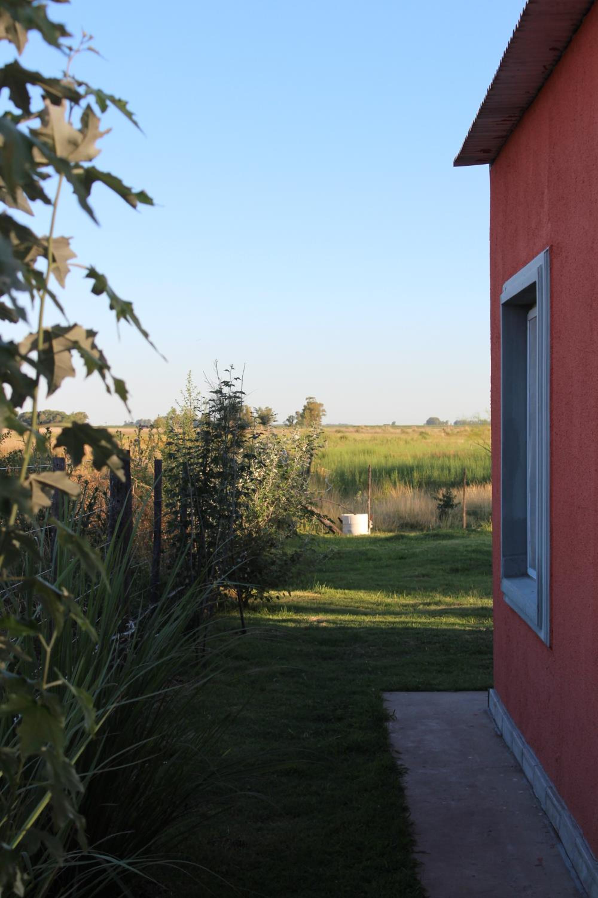 La Narcisa