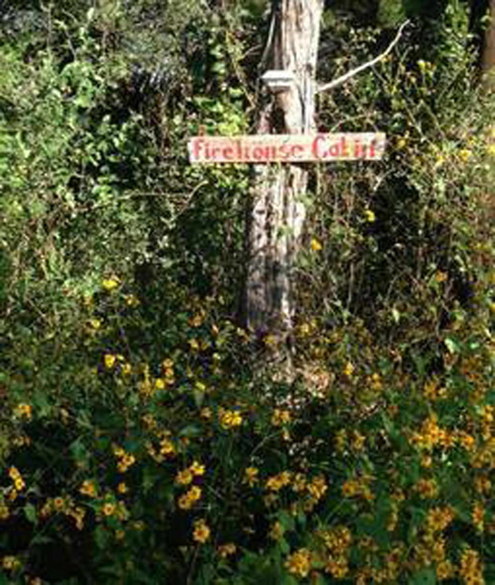 Marble Falls Vacations - The Firehouse at Creekside Camp Cabins - Property Image 19