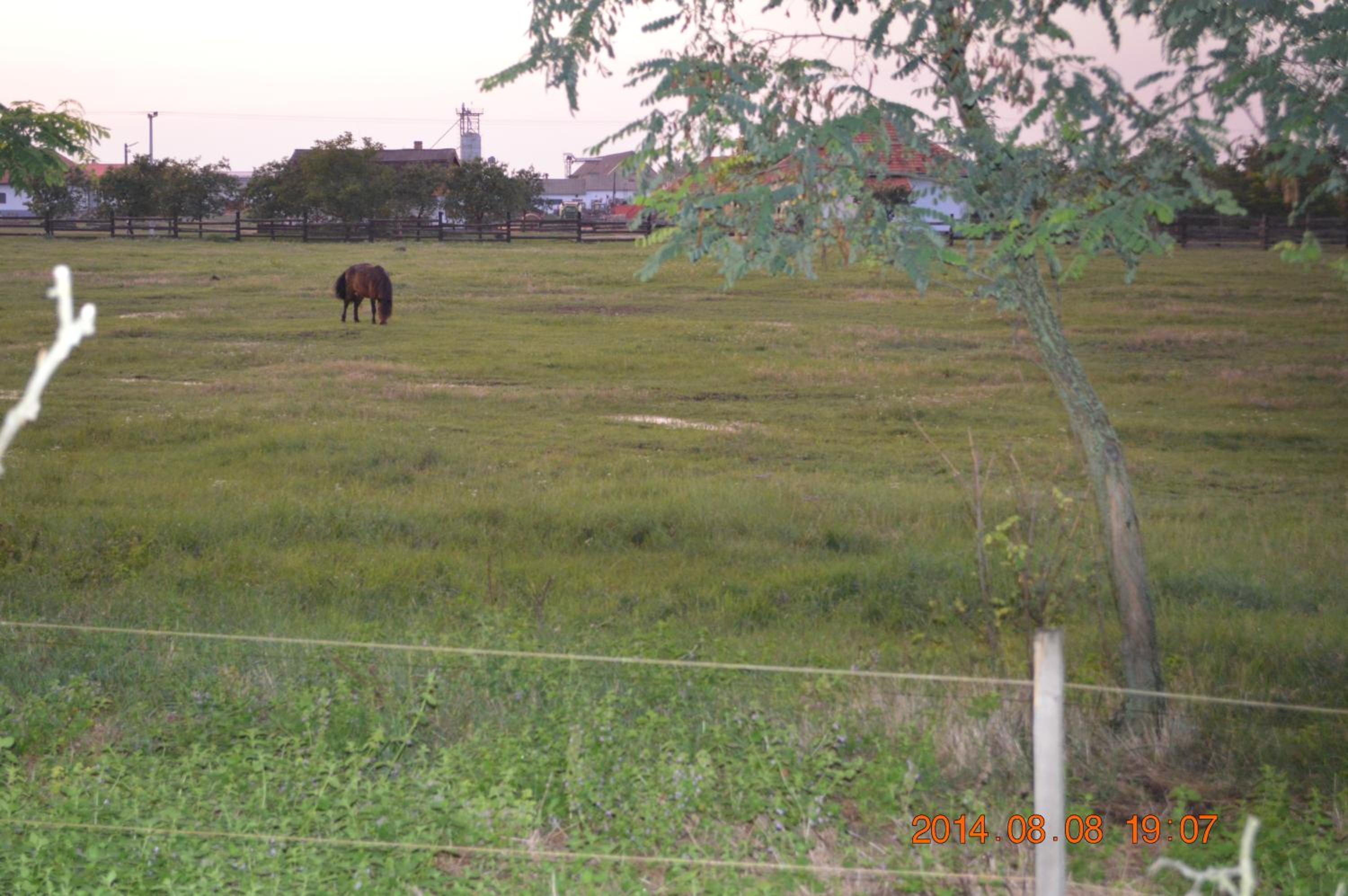 Photo 49