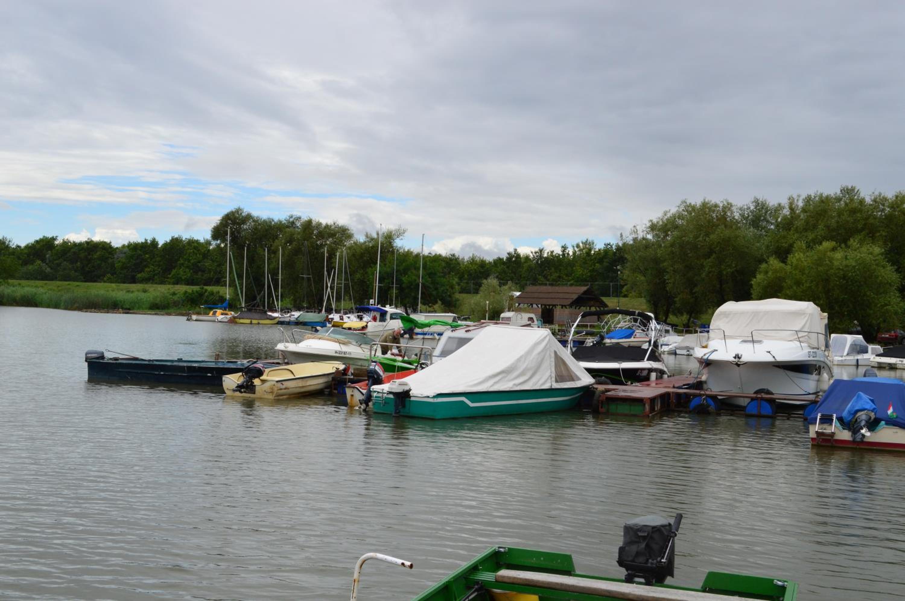Photo 51