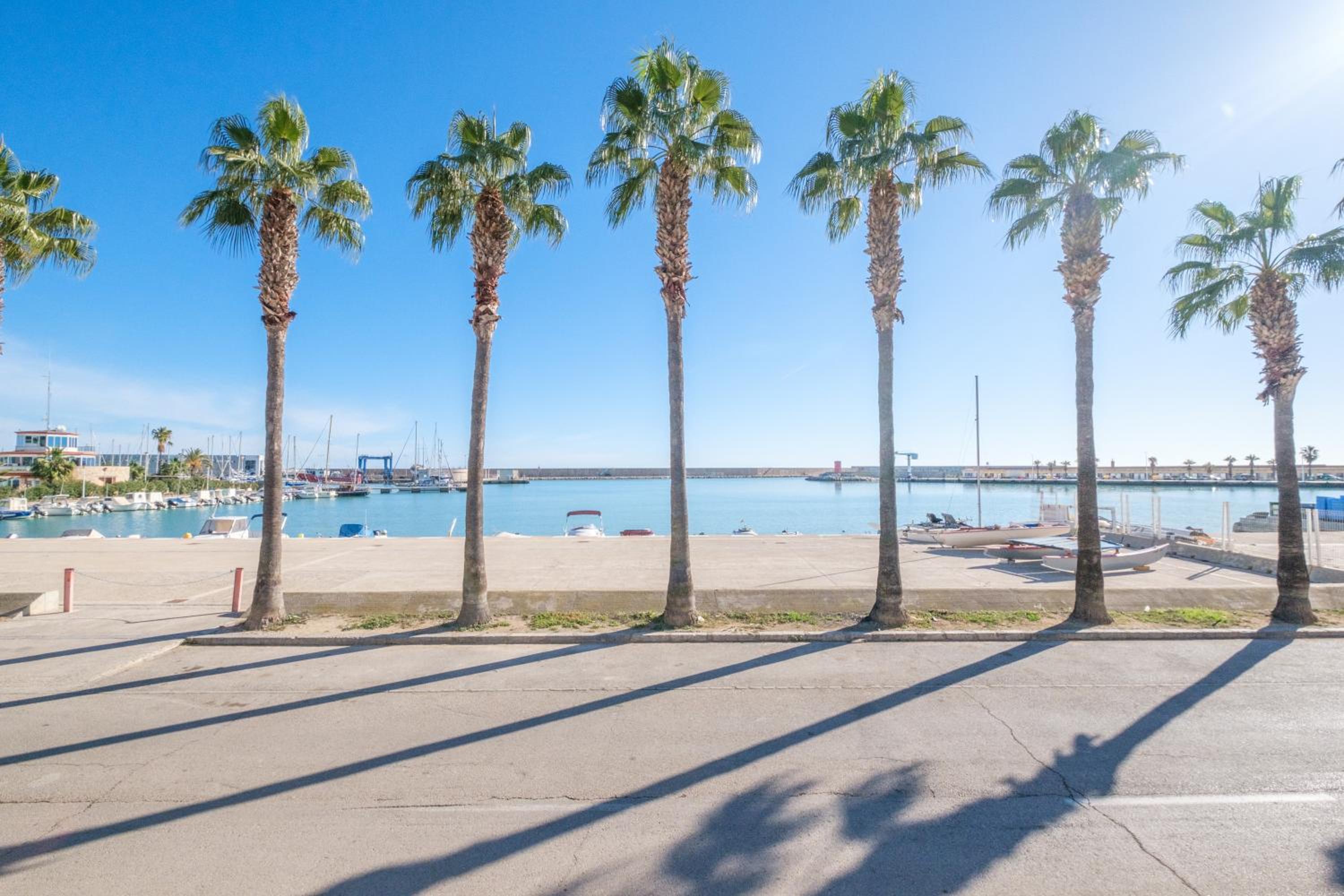 Apartamento las Palmeras 4