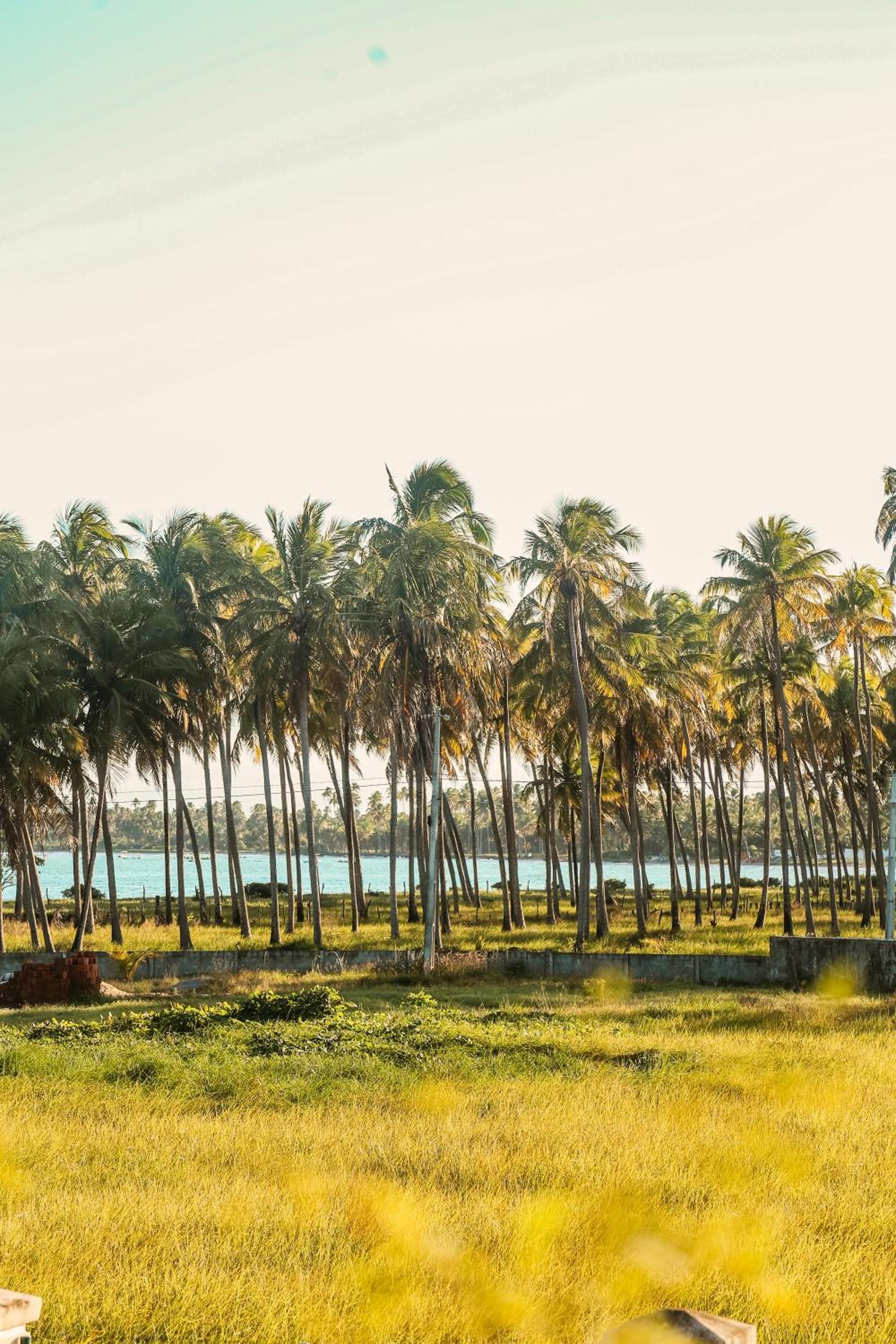 Casa Seriguela - Praia do Patacho - Rota Ecológica dos Milagres