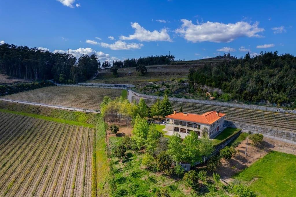Quinta Picouto de Cima view 4