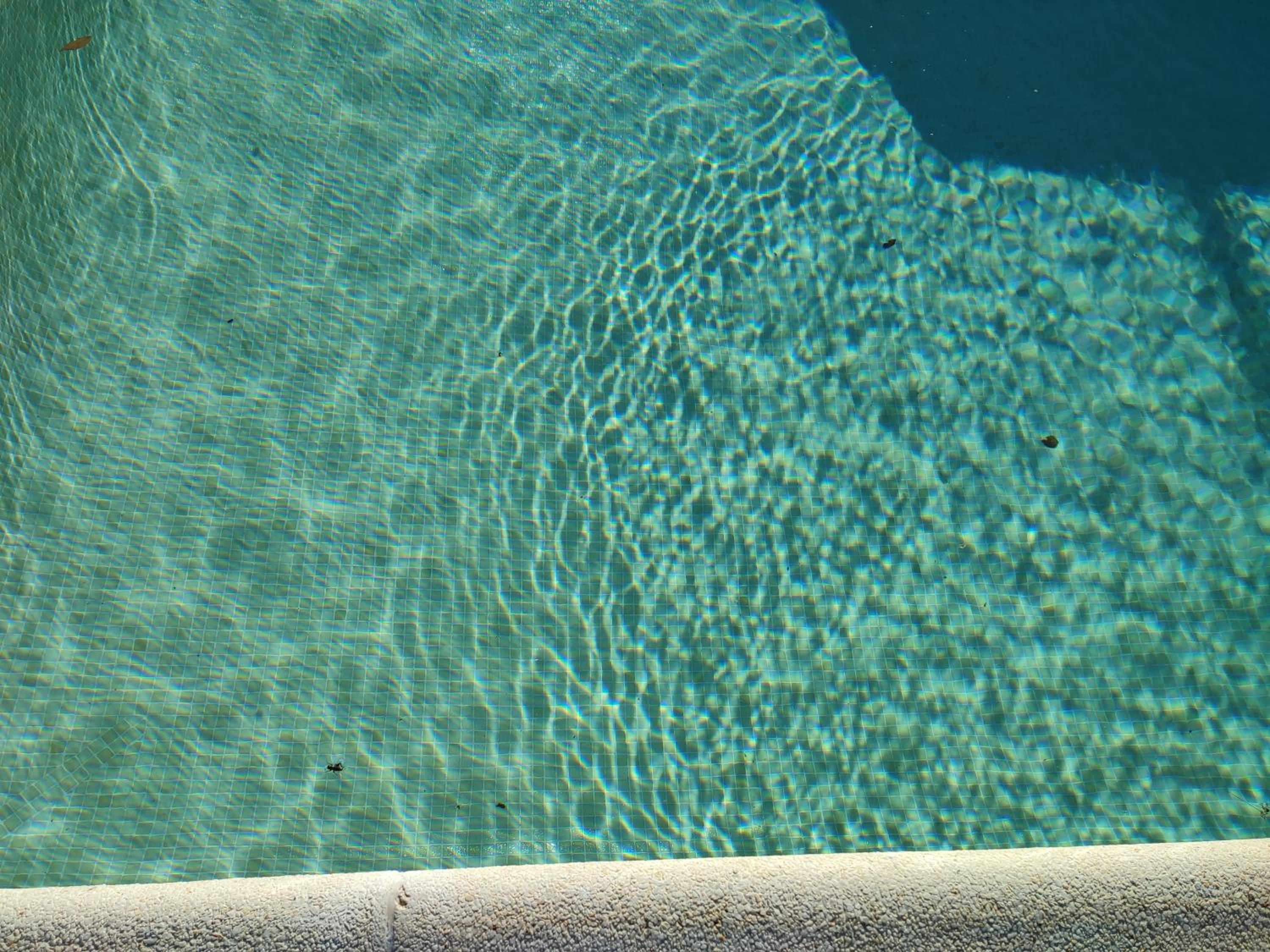 Photo 46