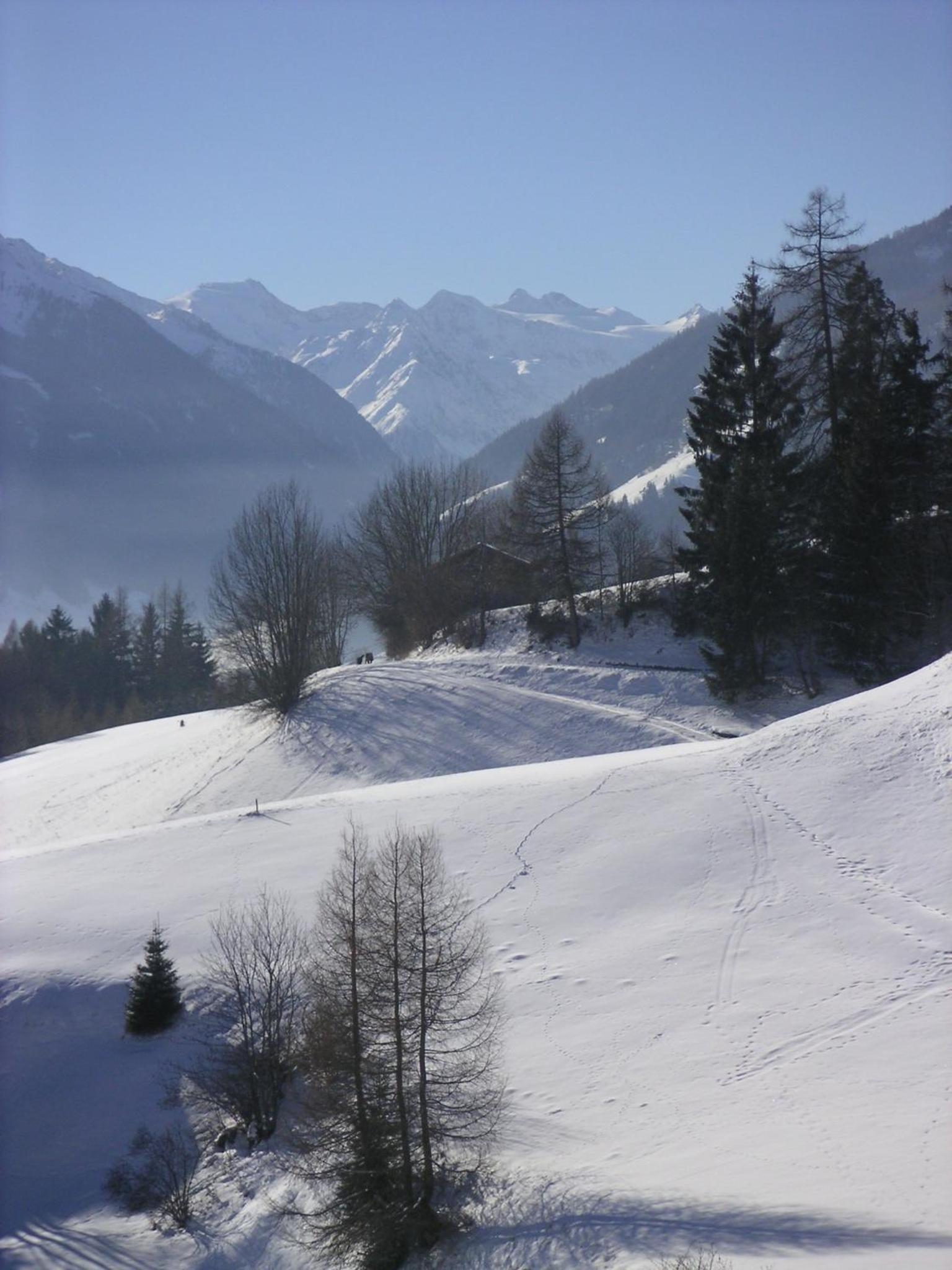 Pension Danler