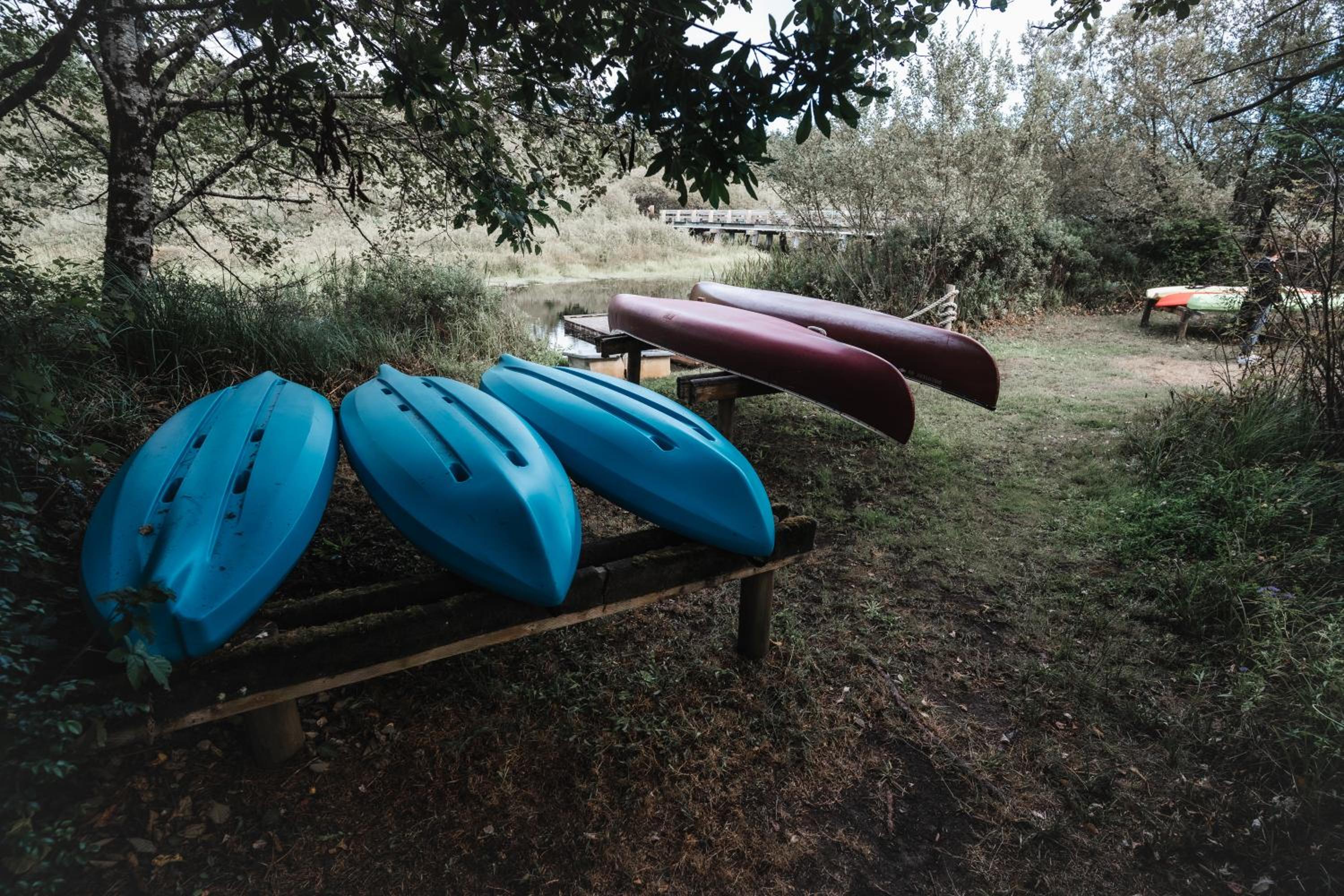 Surfcrest Resort