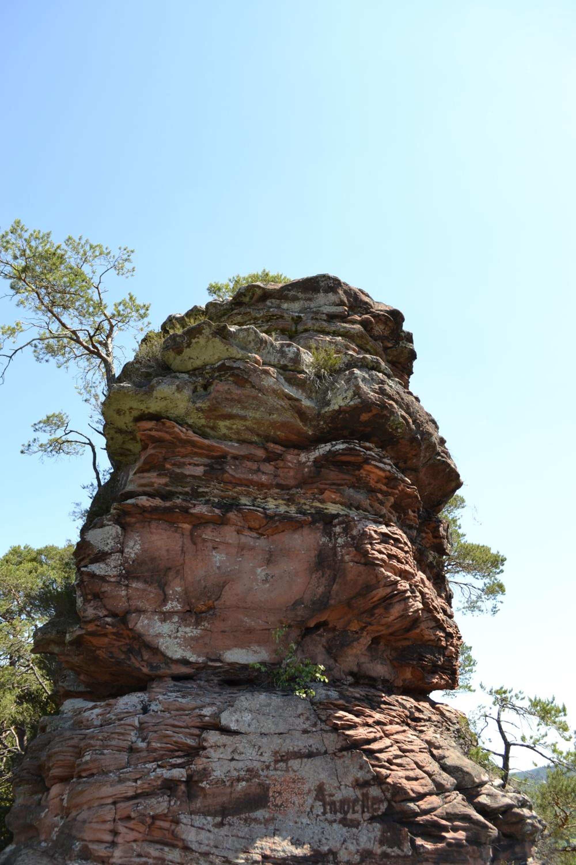 Zauber der Pfalz