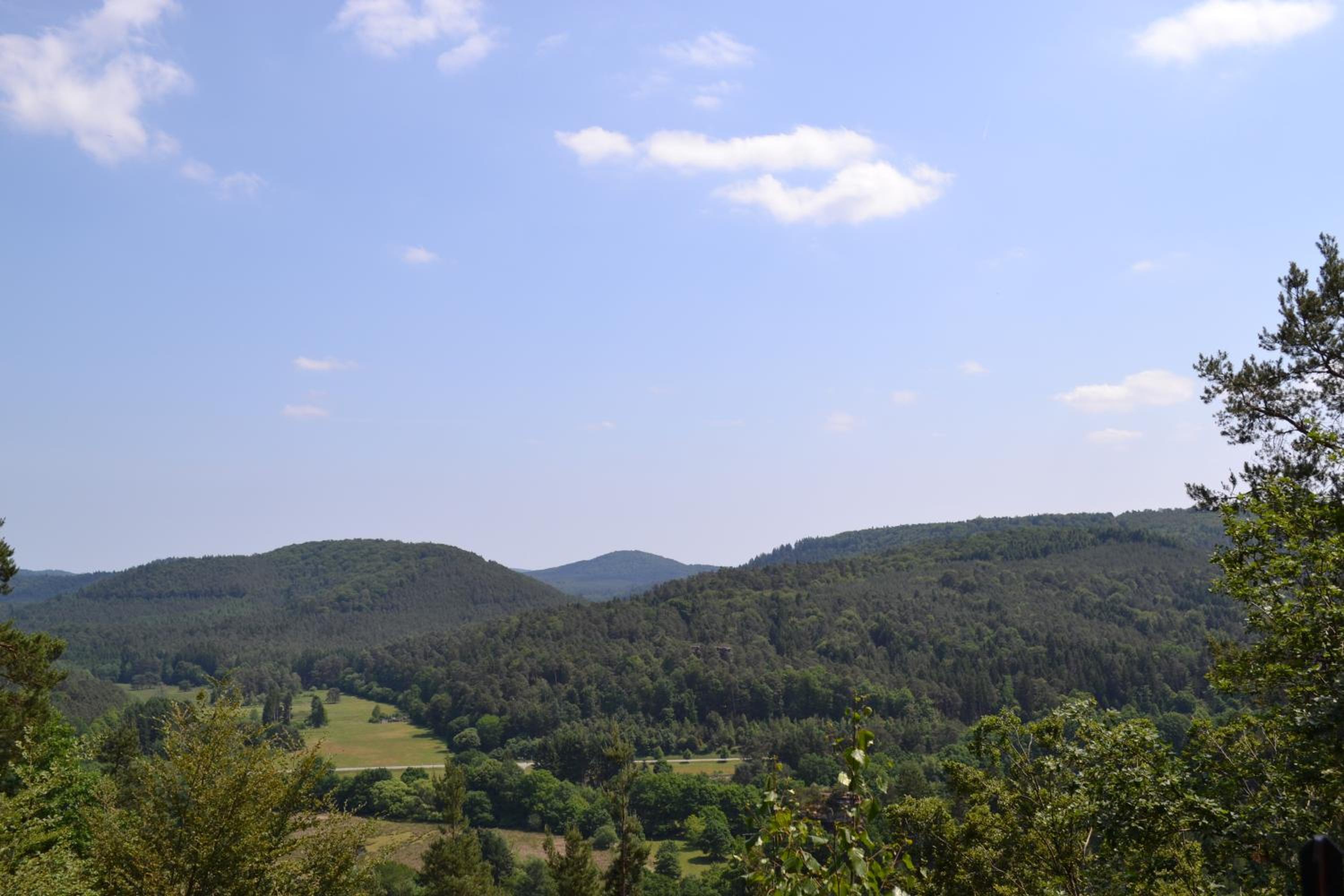Zauber der Pfalz