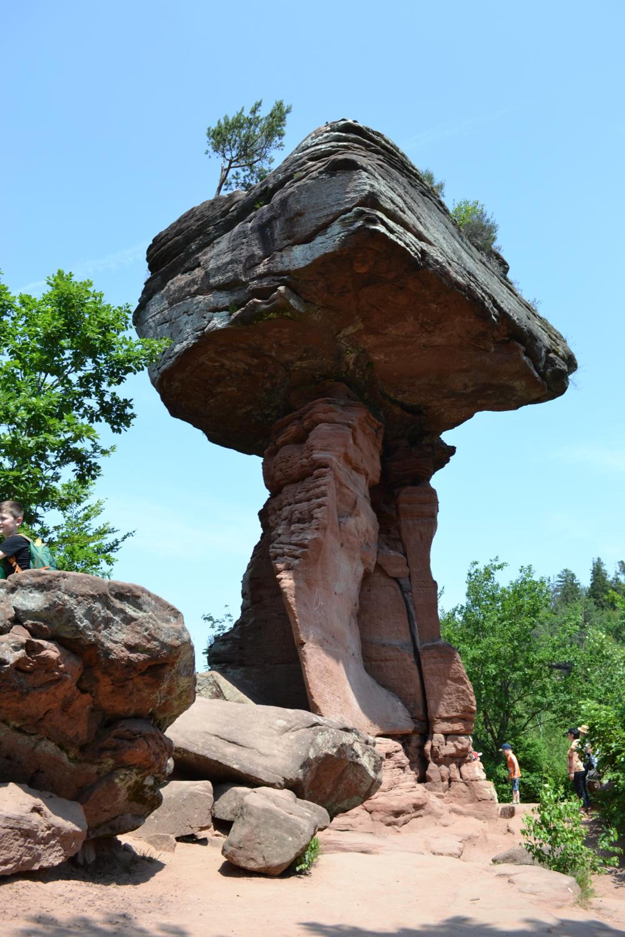 Zauber der Pfalz