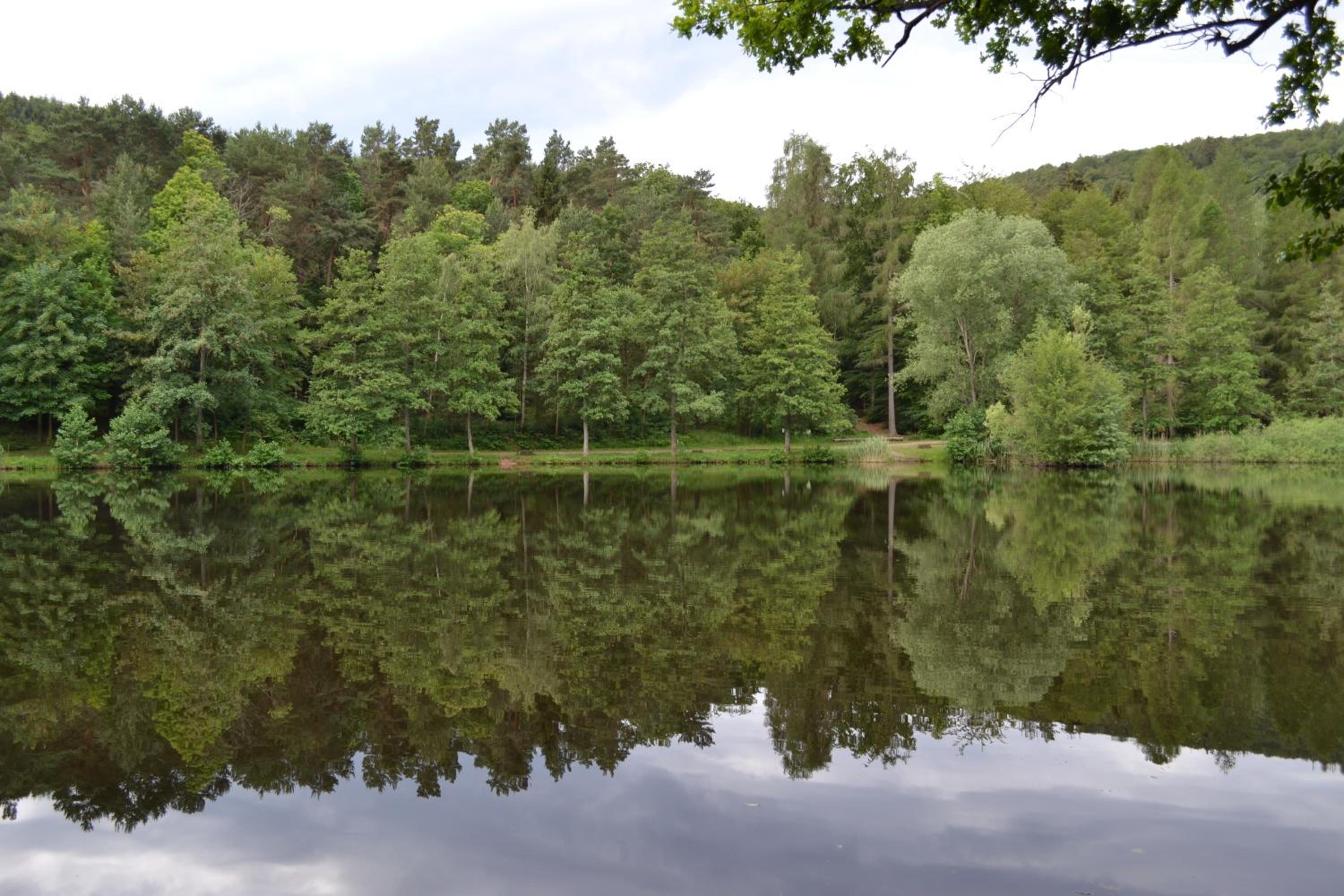 Zauber der Pfalz