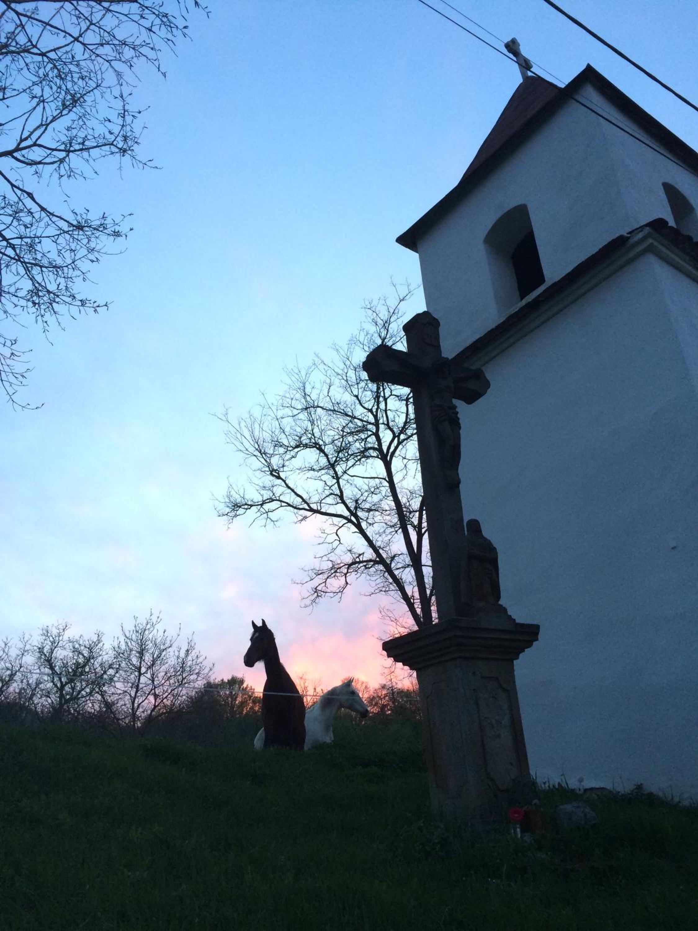 Photo 25