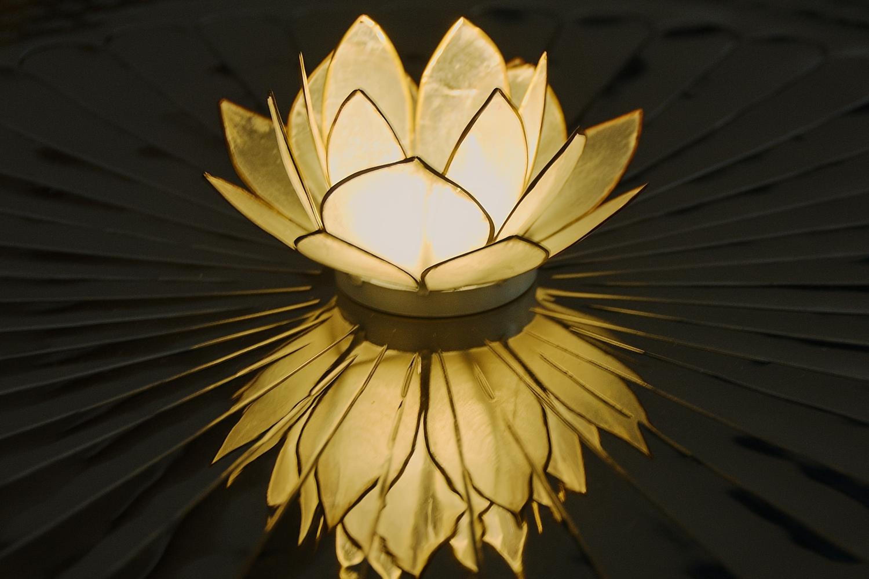 White Lotus Apartment