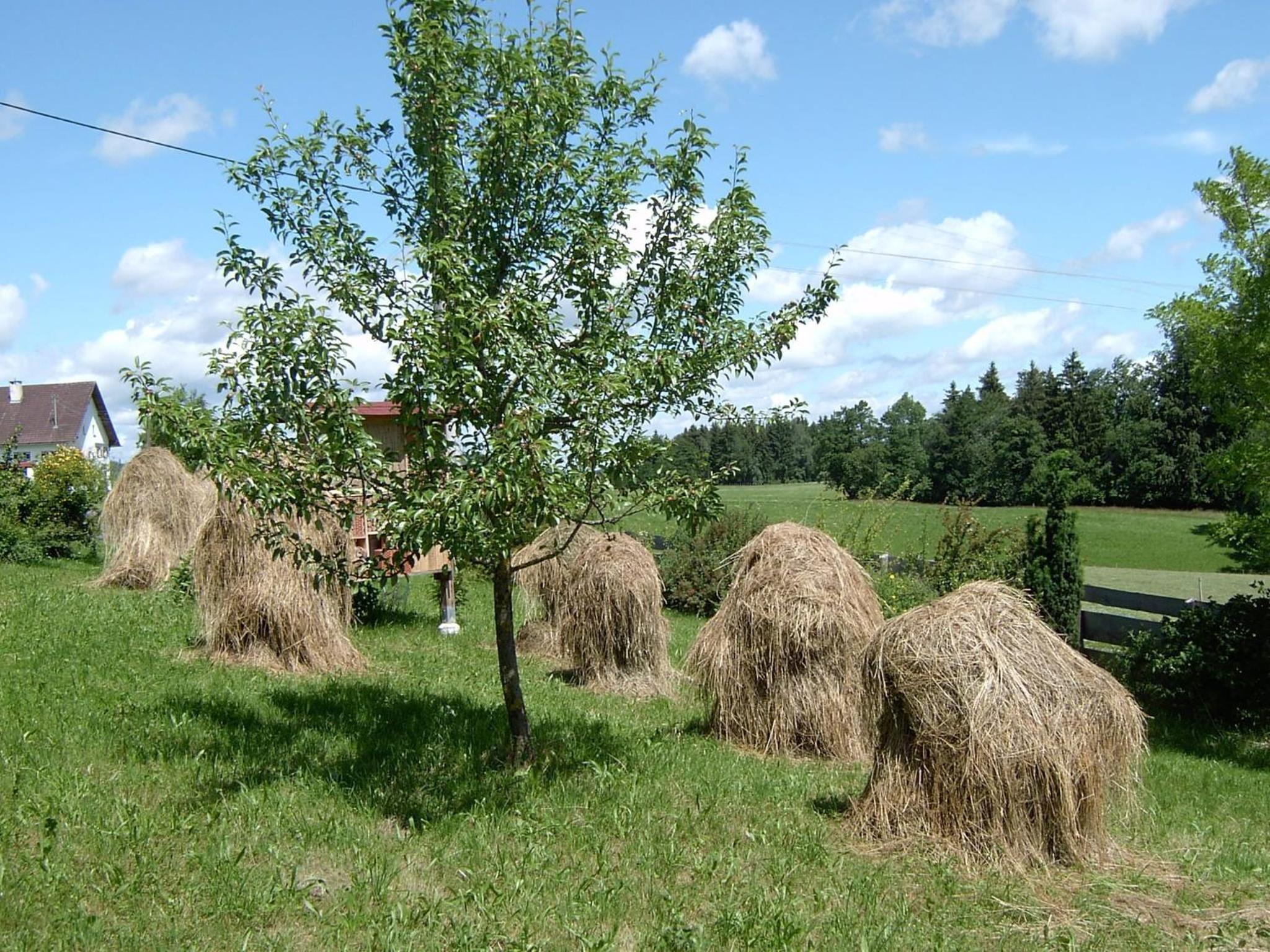 Ferienwohnung Freißl