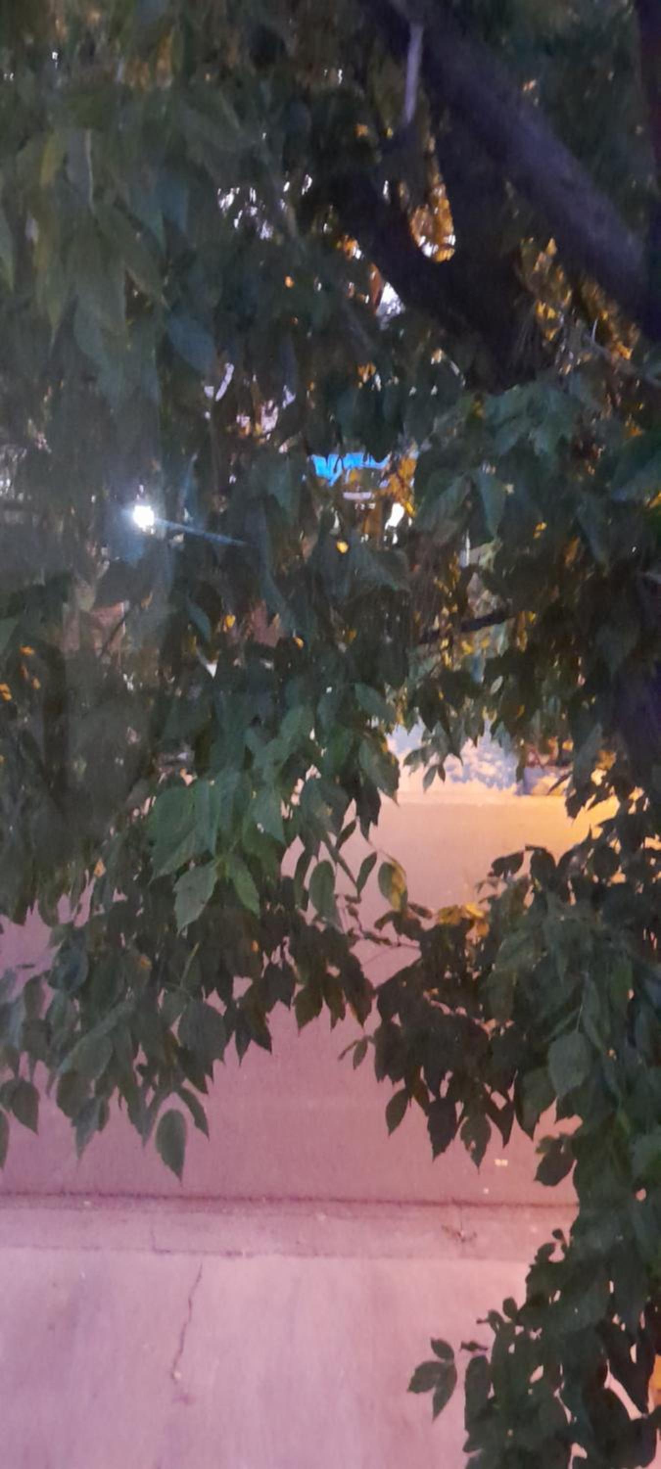 SAN AGUSTIN