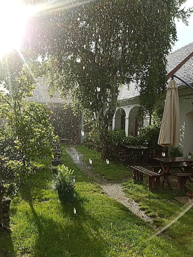 Photo 29