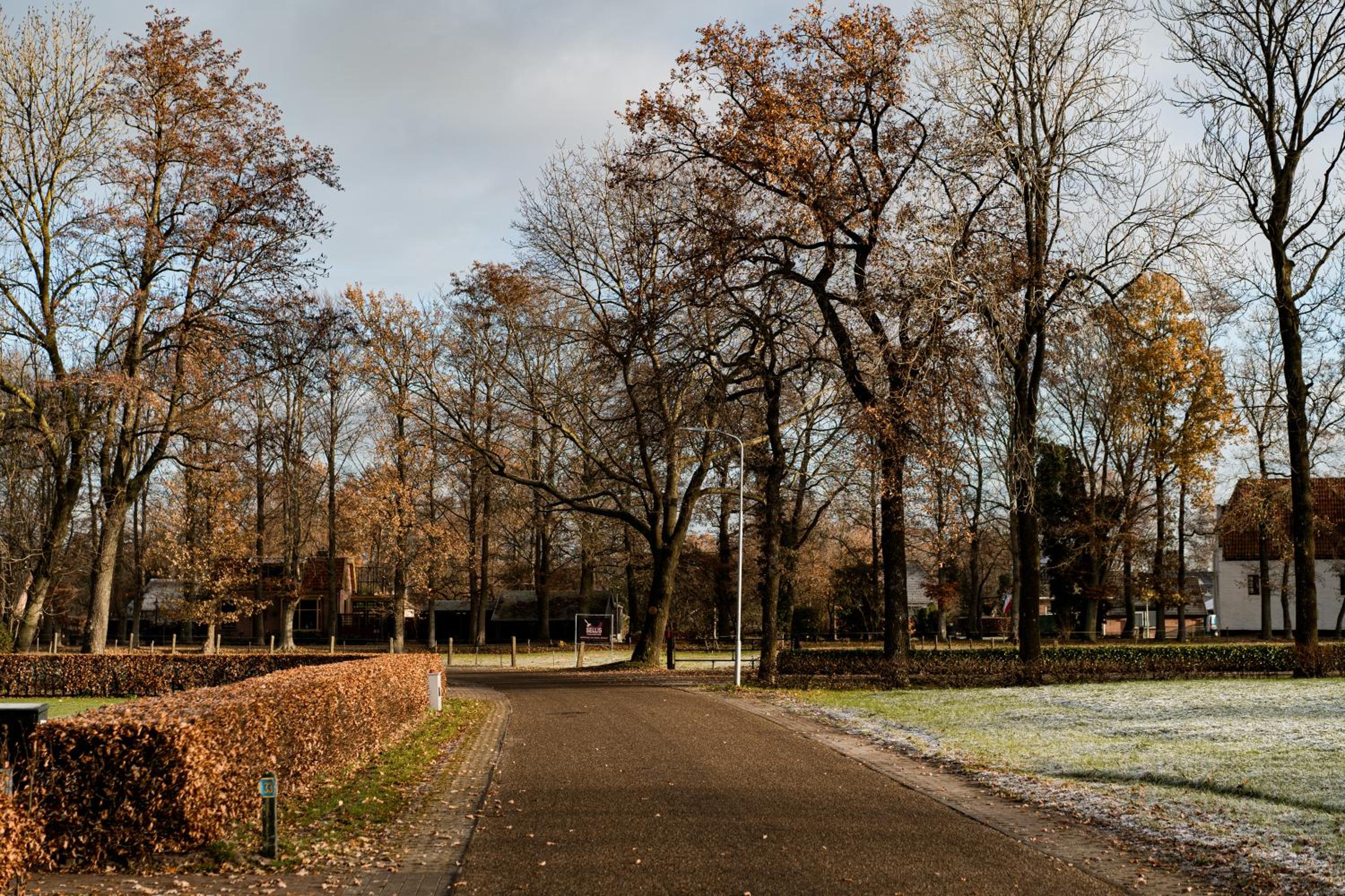Landelijk gelegen vakantiewoning