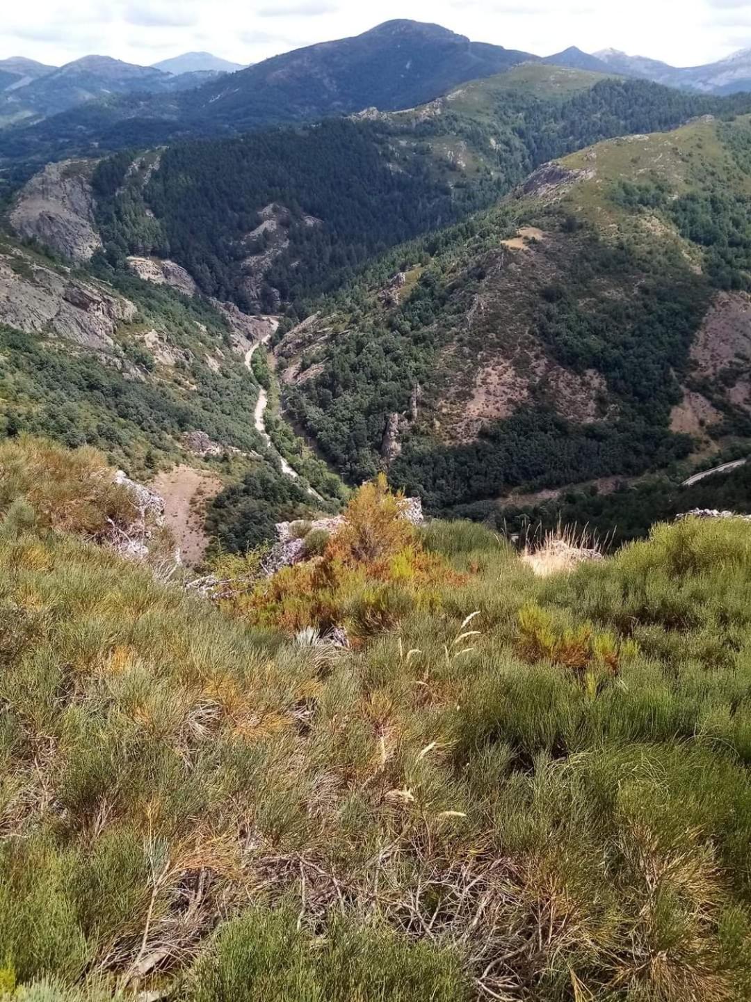 Photo 45