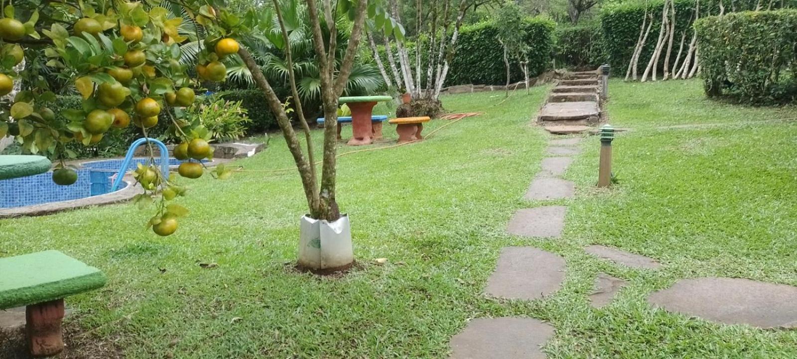 Photo 35