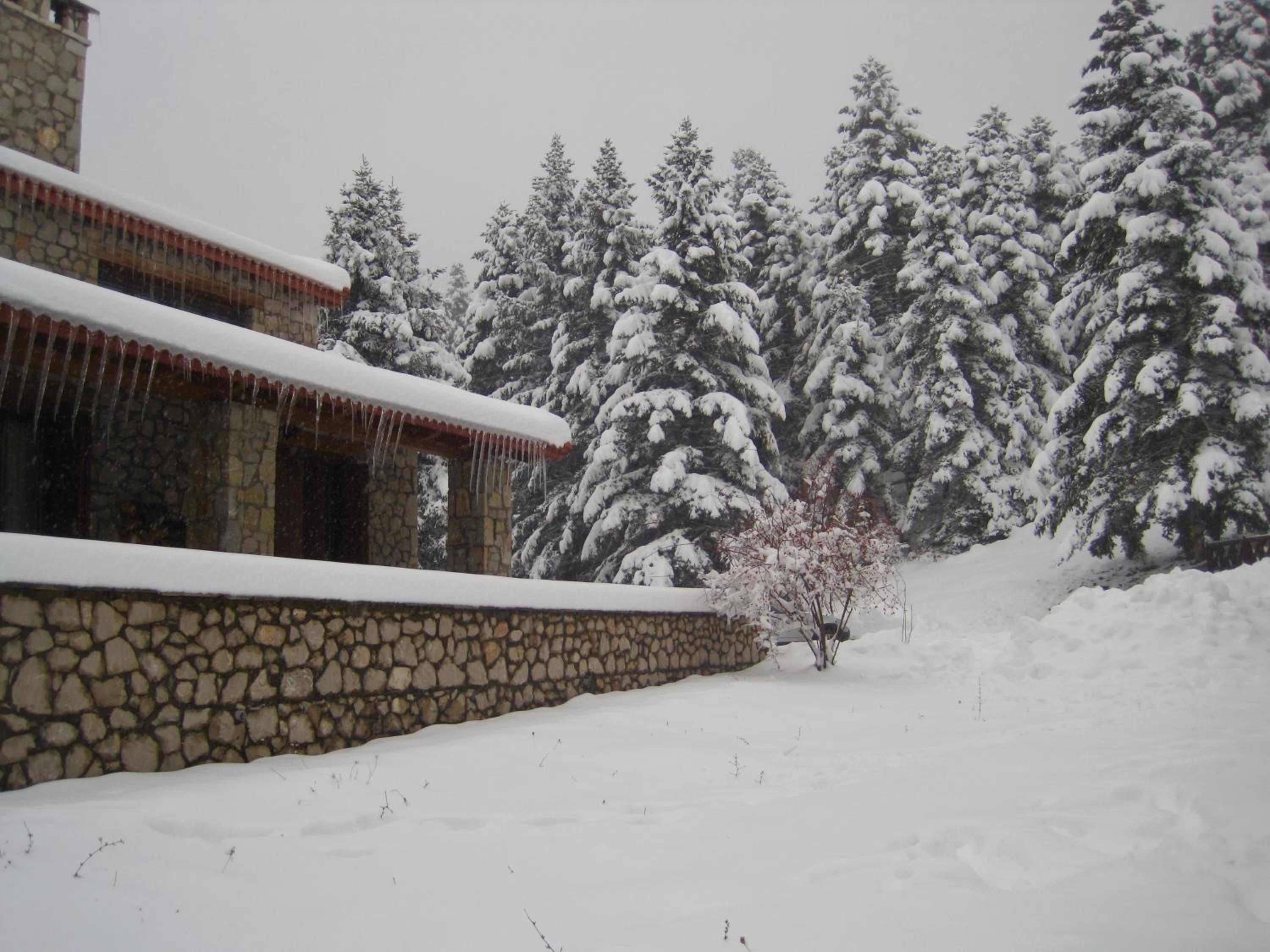 Anemoria Chalets-Castalia Chalet