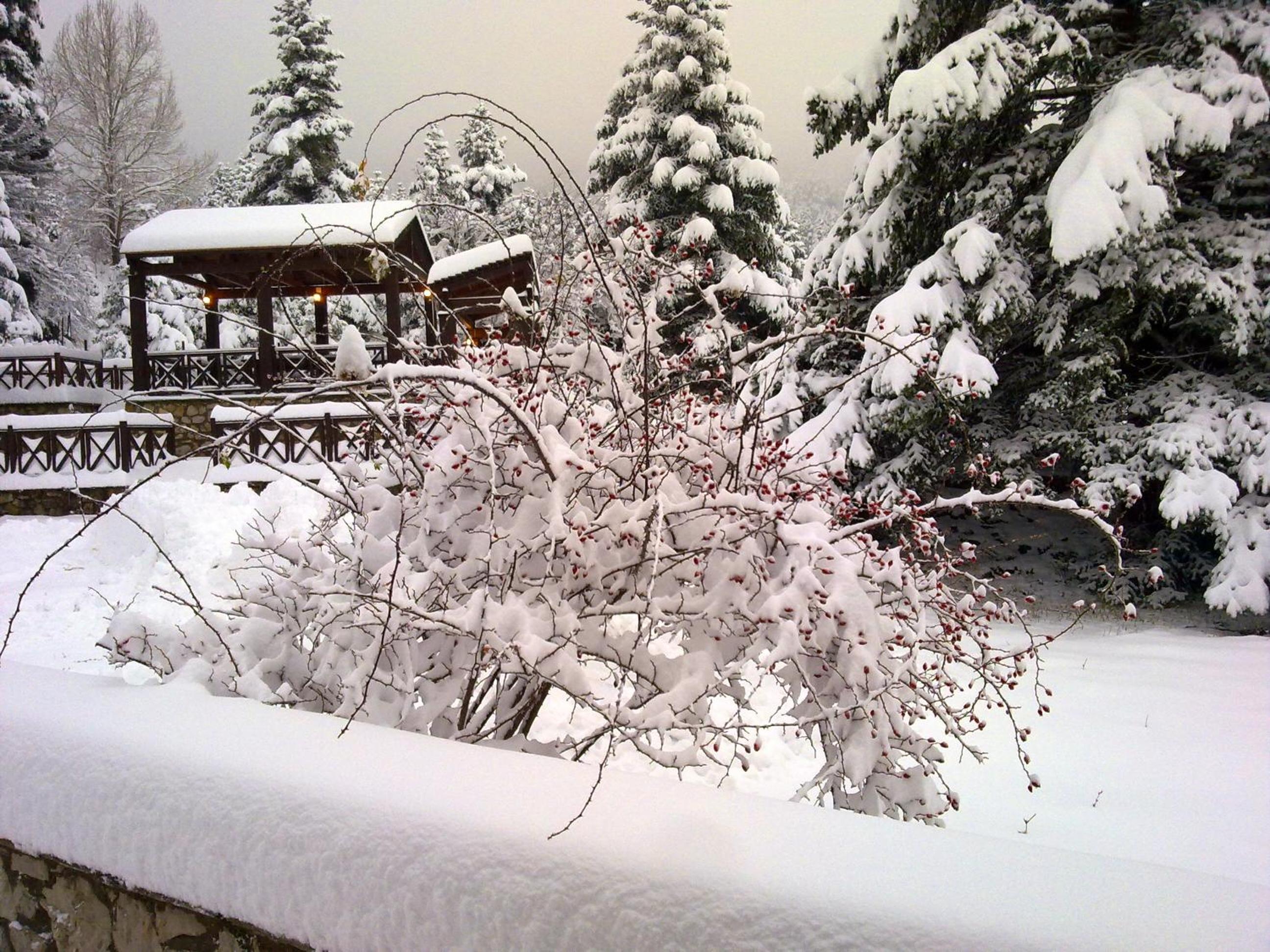Anemoria Chalets-Castalia Chalet view 5