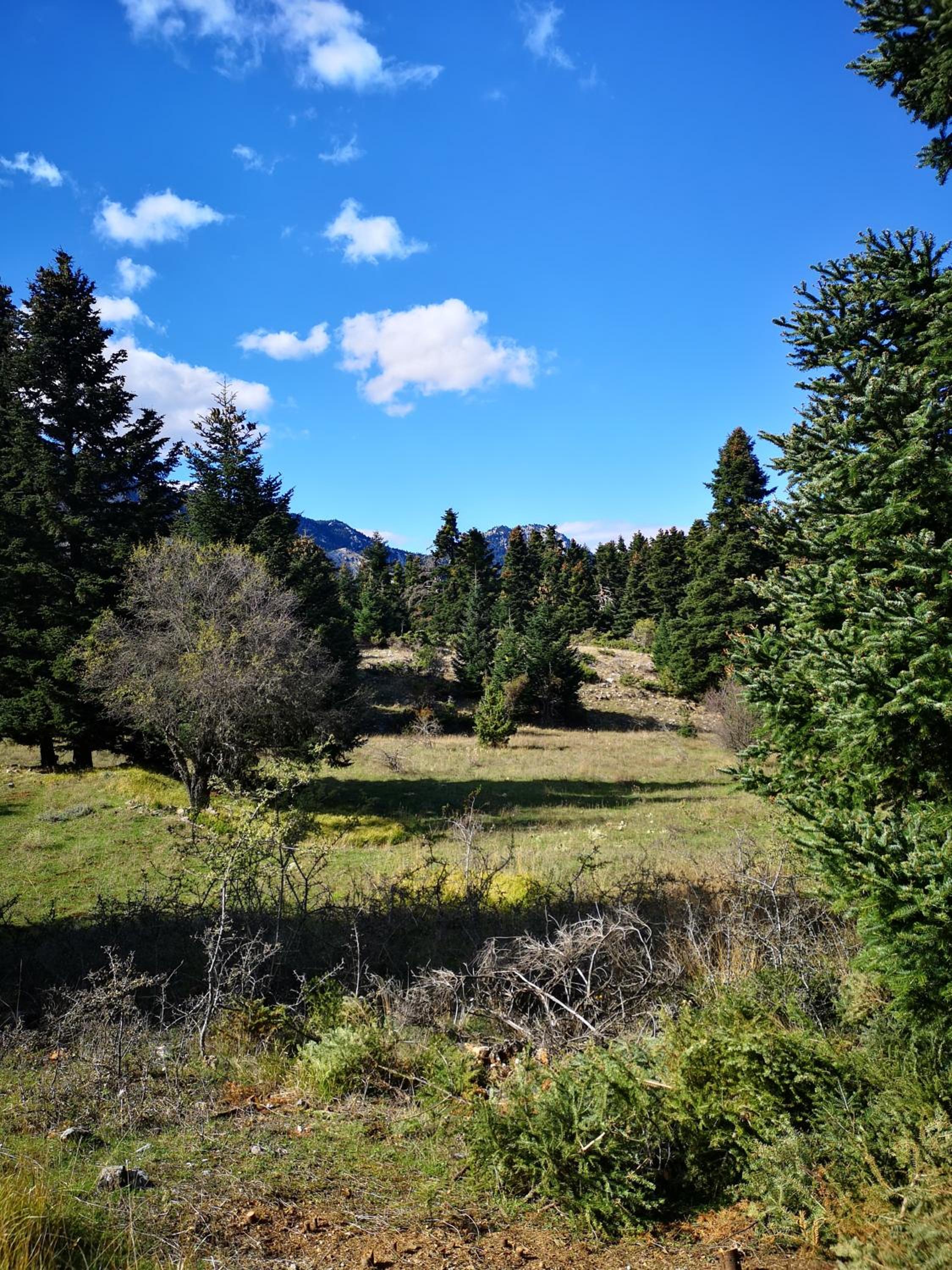 Photo 32