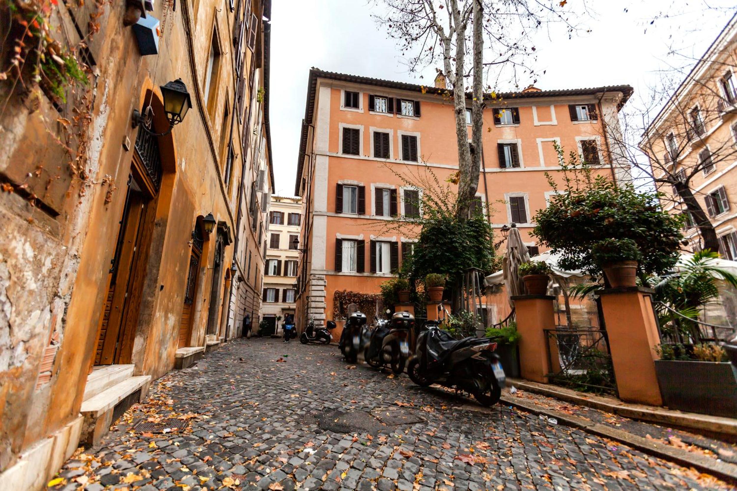 Navona Artist 7 APT